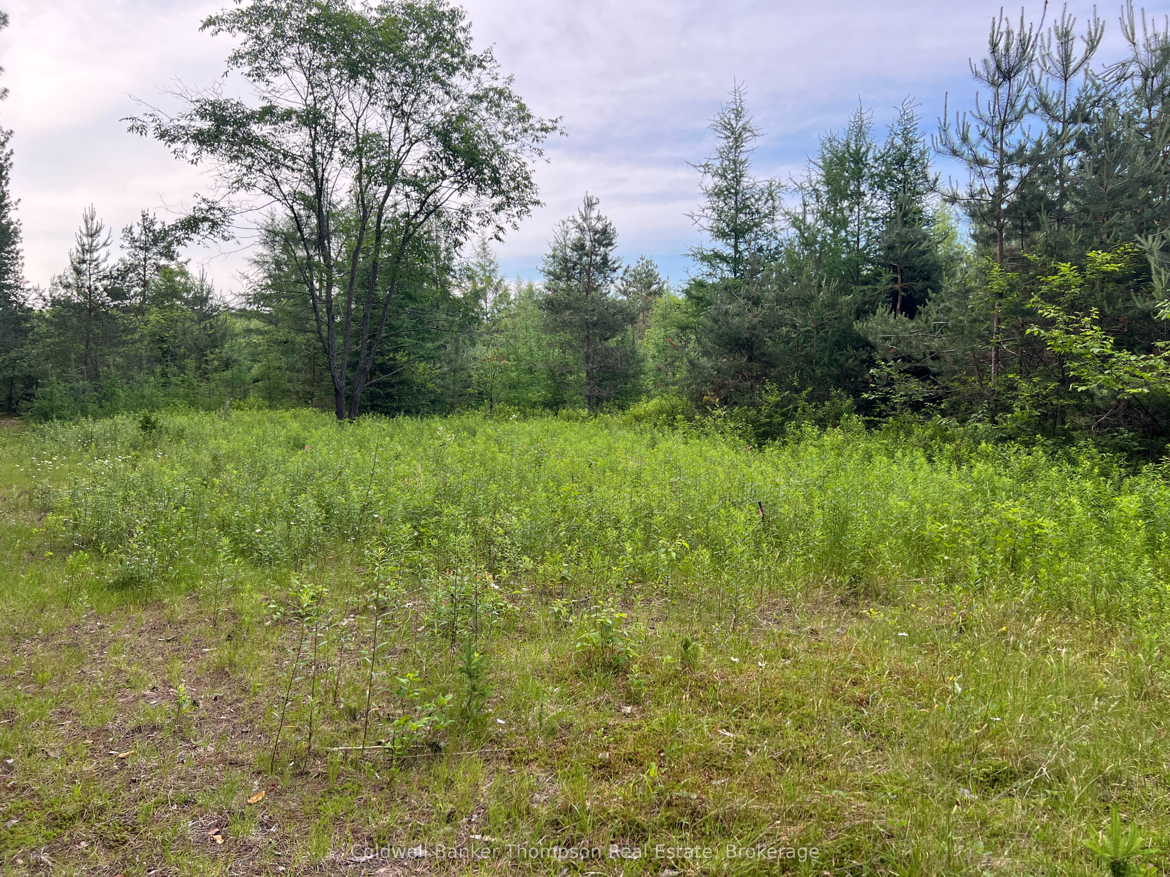 1152 Forest Lake Rd Property Photo 13