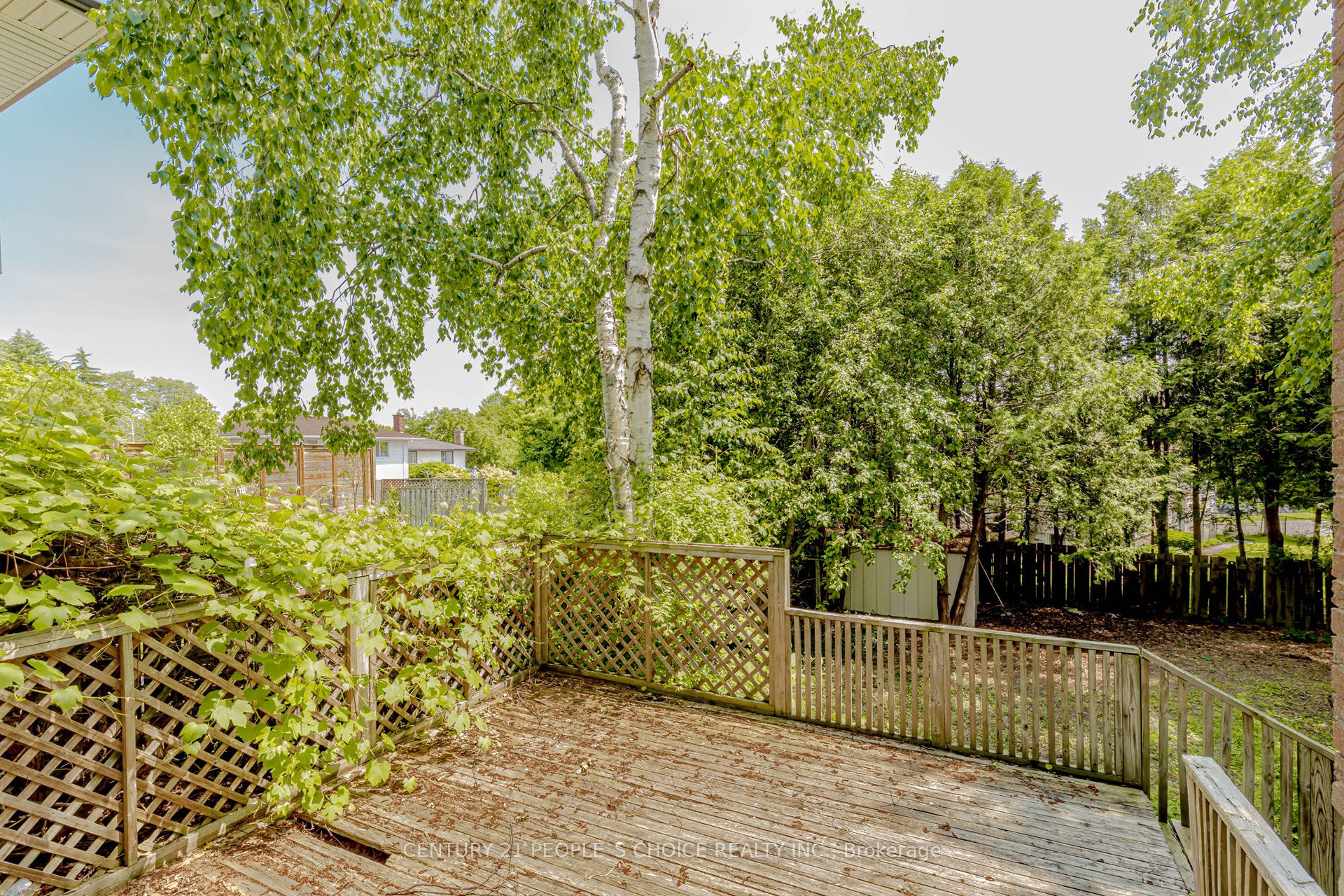 81 Bechtel Drive Property Photo 42