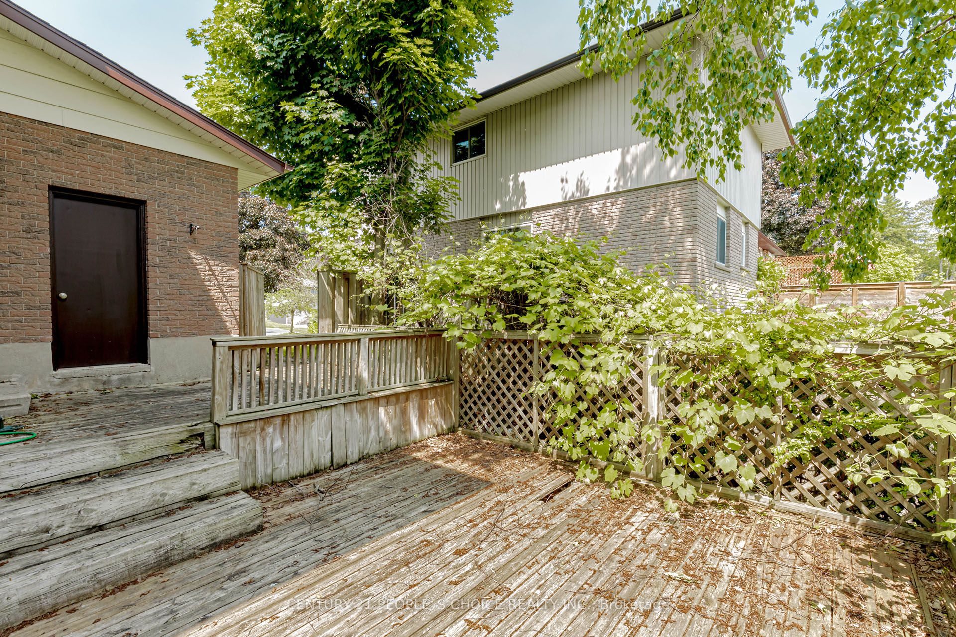 81 Bechtel Drive Property Photo 44