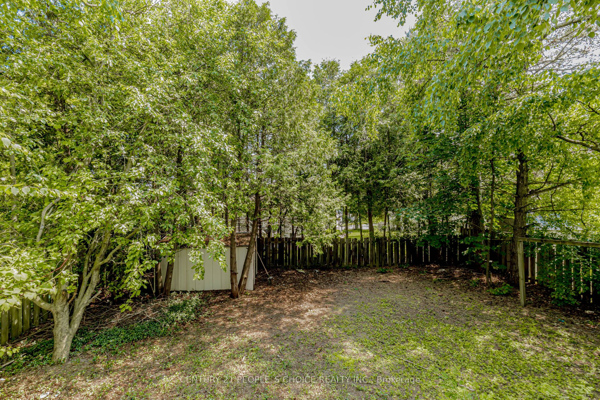 81 Bechtel Drive Property Photo 46