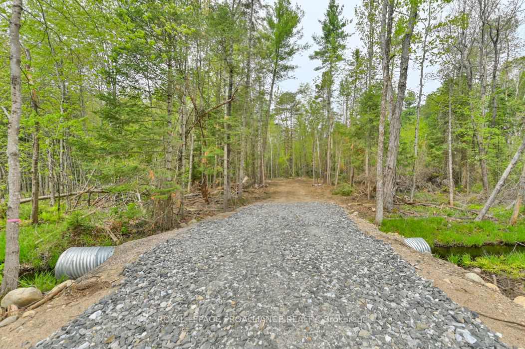 1031 Road 506 N/a Property Photo 5