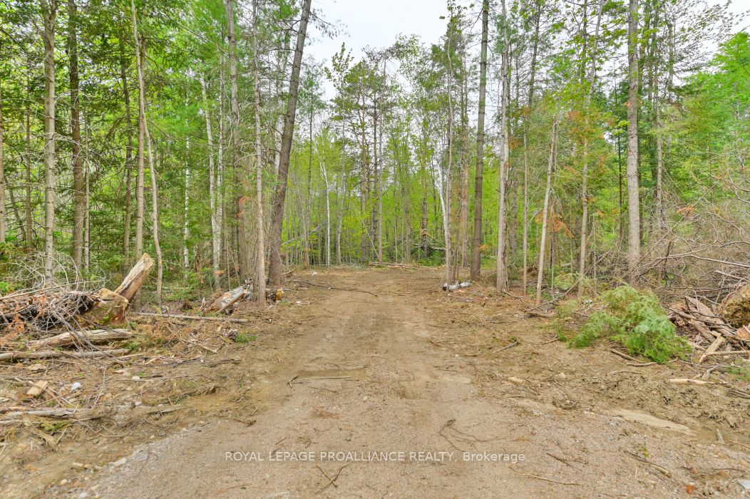1031 Road 506 N/a Property Photo 6