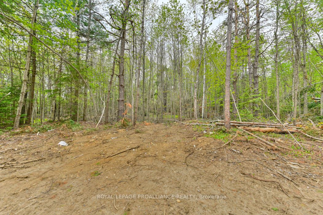 1031 Road 506 N/a Property Photo 8