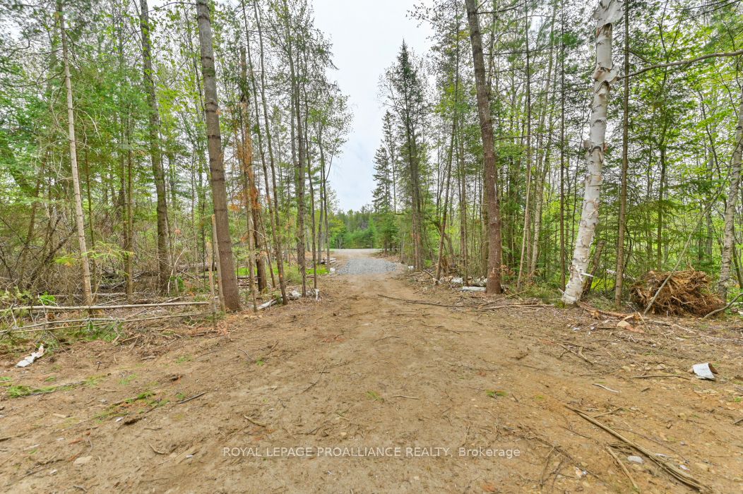 1031 Road 506 N/a Property Photo 9