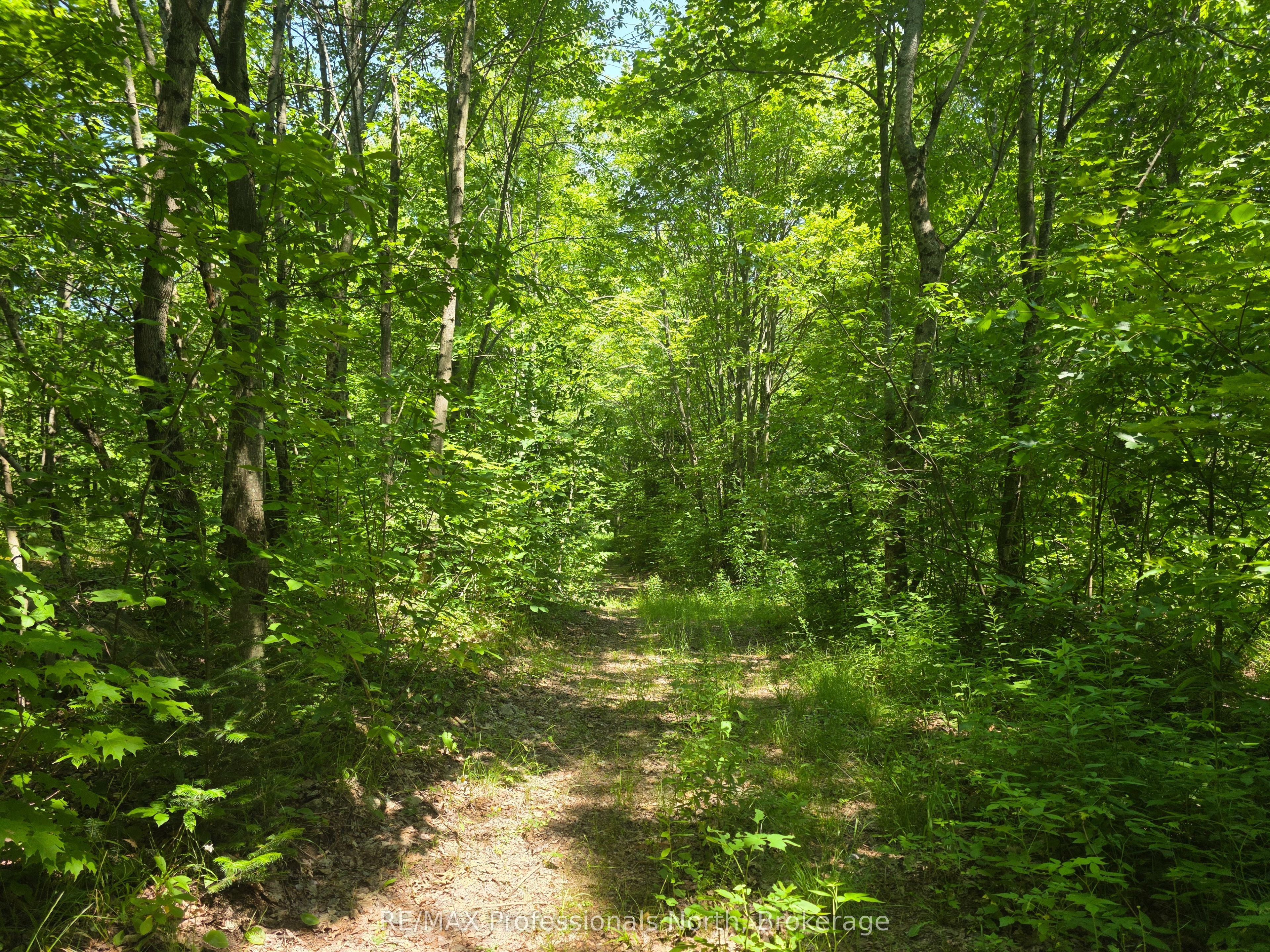 1134 Walkers Line Road Property Photo 1