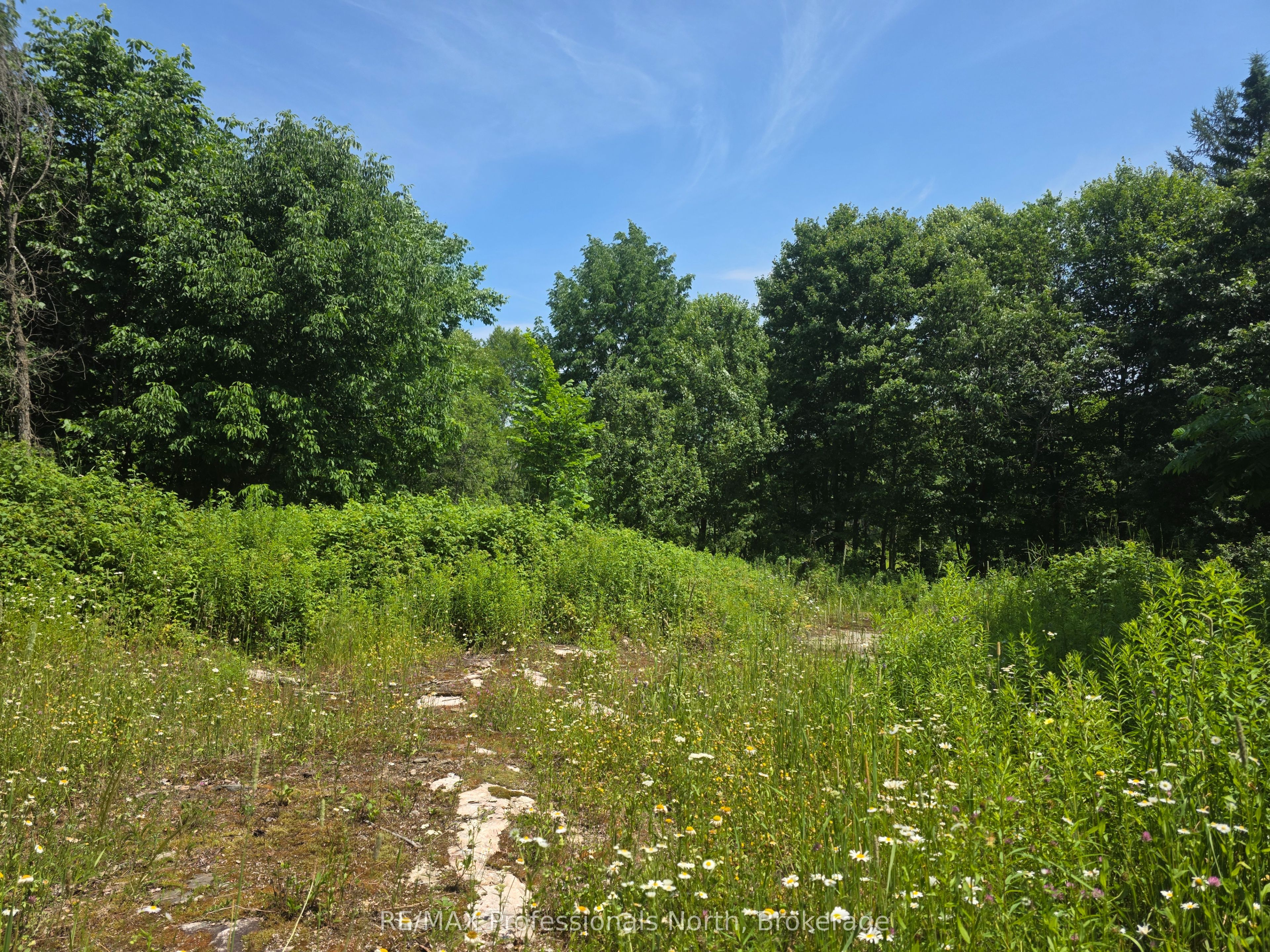 1134 Walkers Line Road Property Photo 5