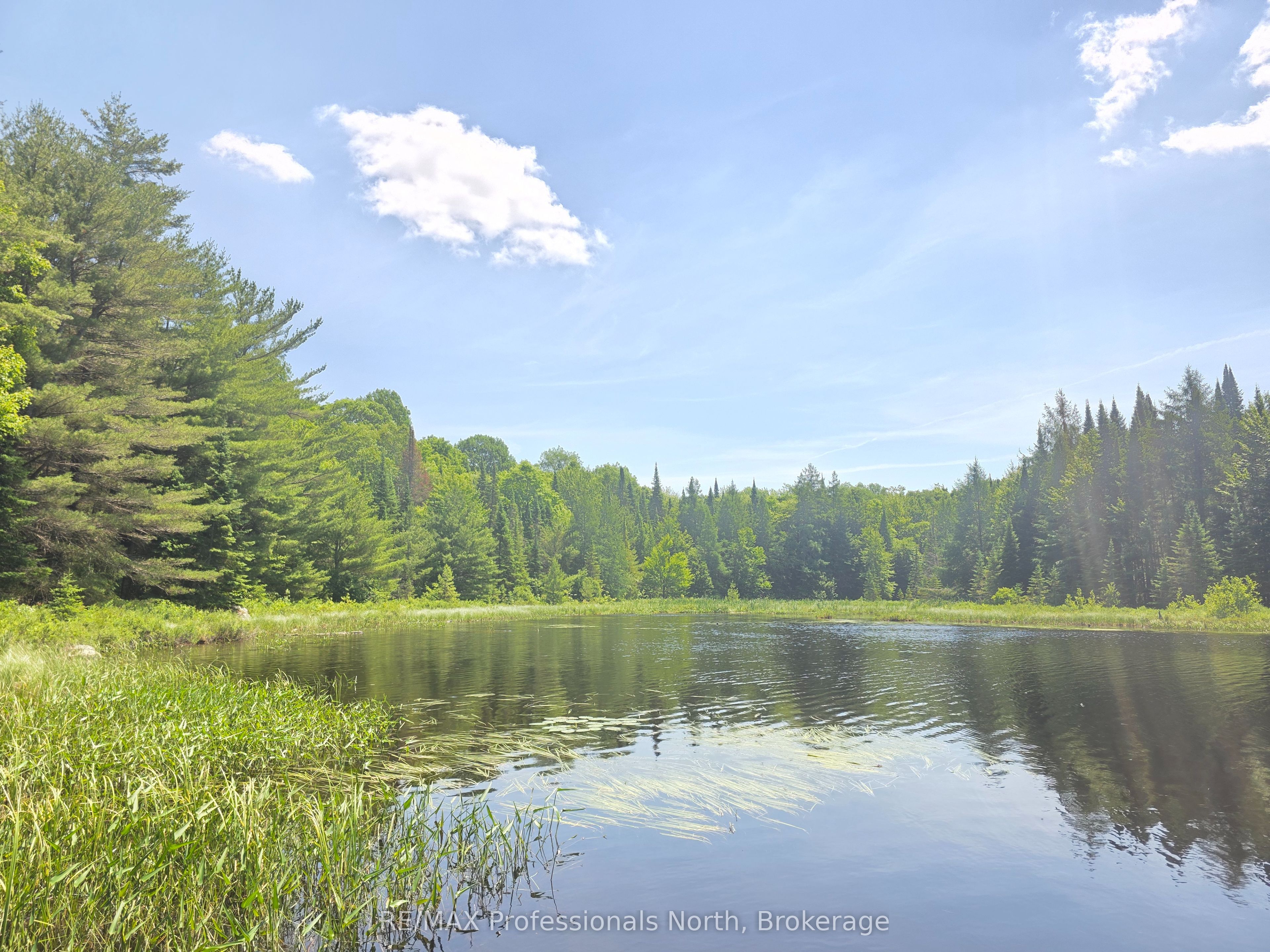 1134 Walkers Line Road Property Photo 6