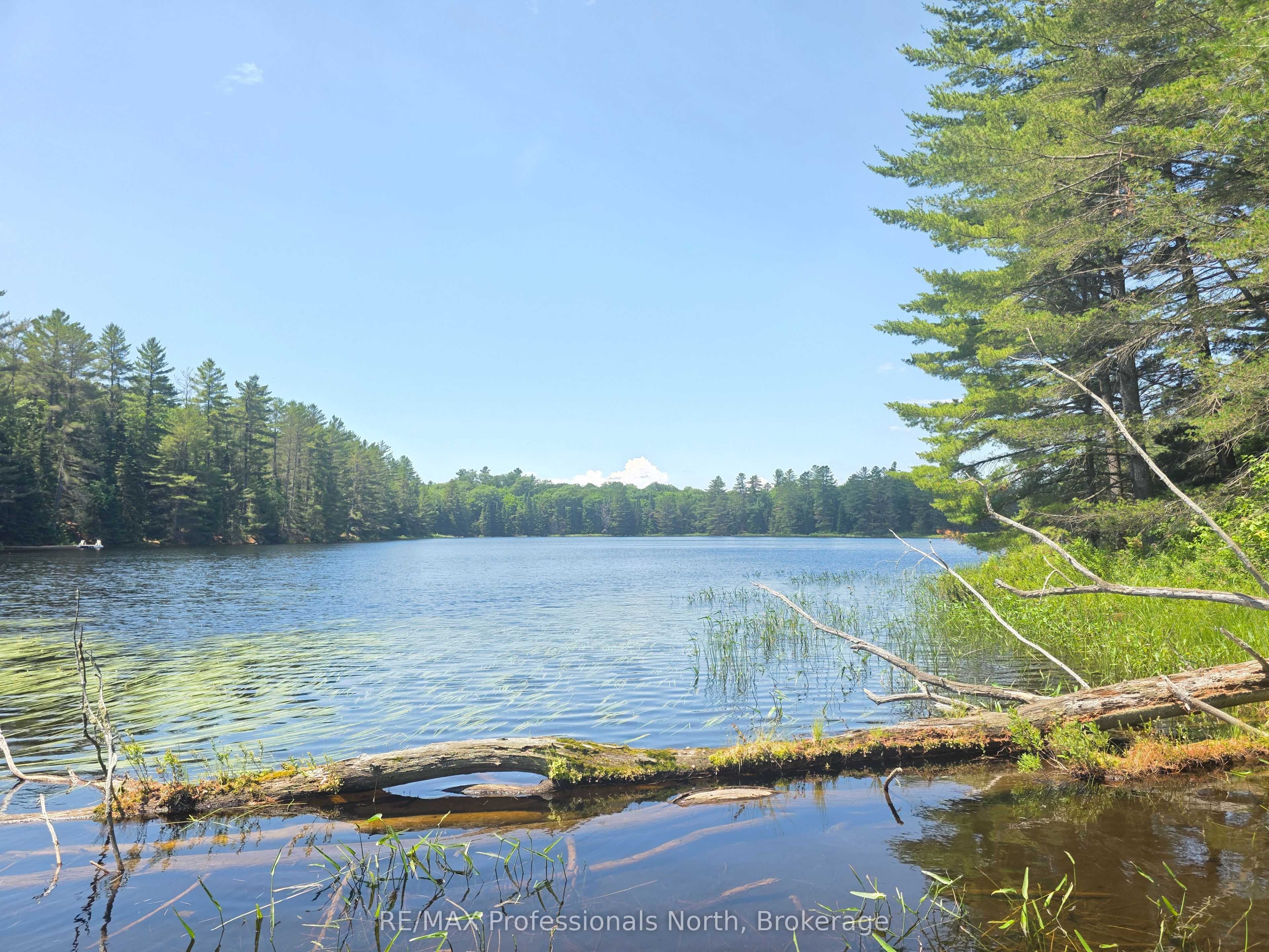 1134 Walkers Line Road Property Photo 7