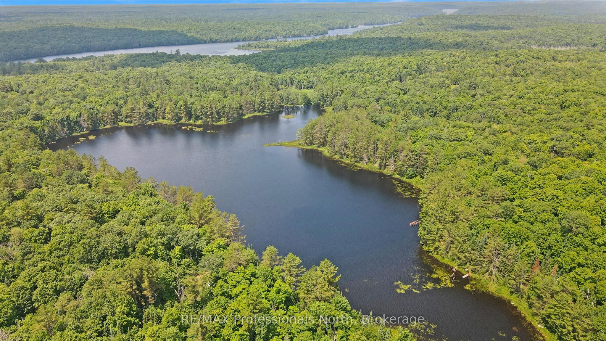 1134 Walkers Line Road Property Photo 9