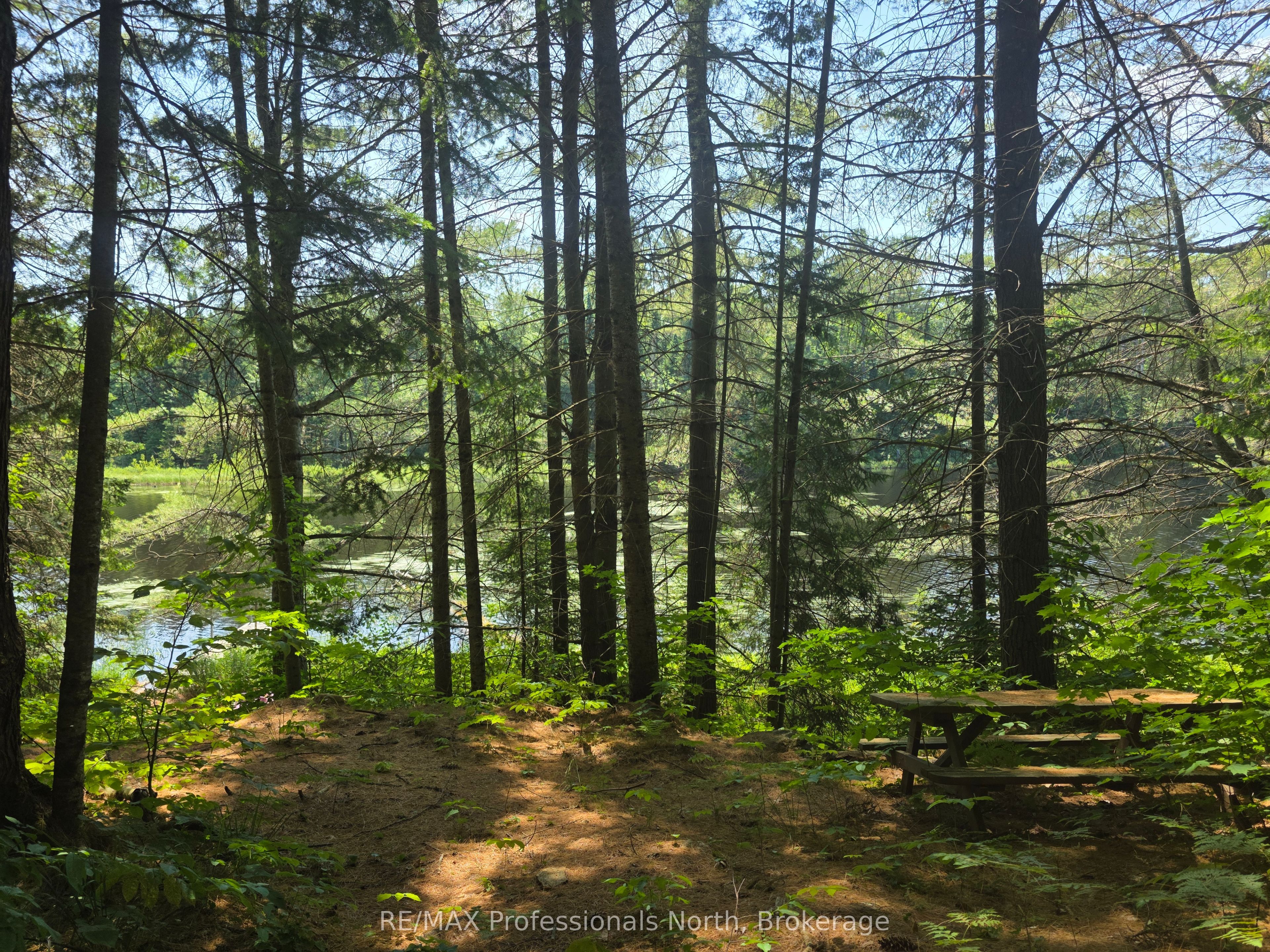 1134 Walkers Line Road Property Photo 11