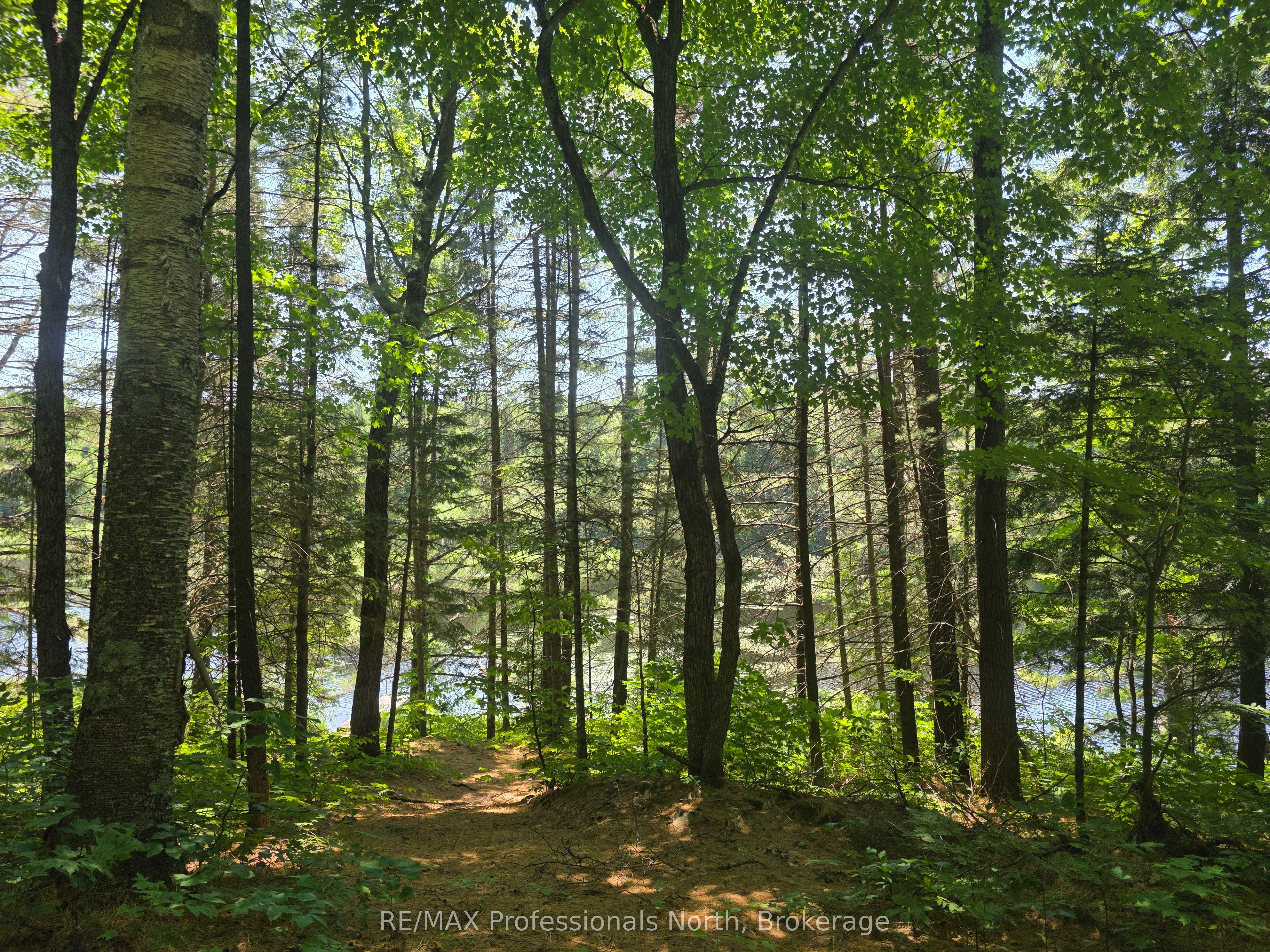 1134 Walkers Line Road Property Photo 12