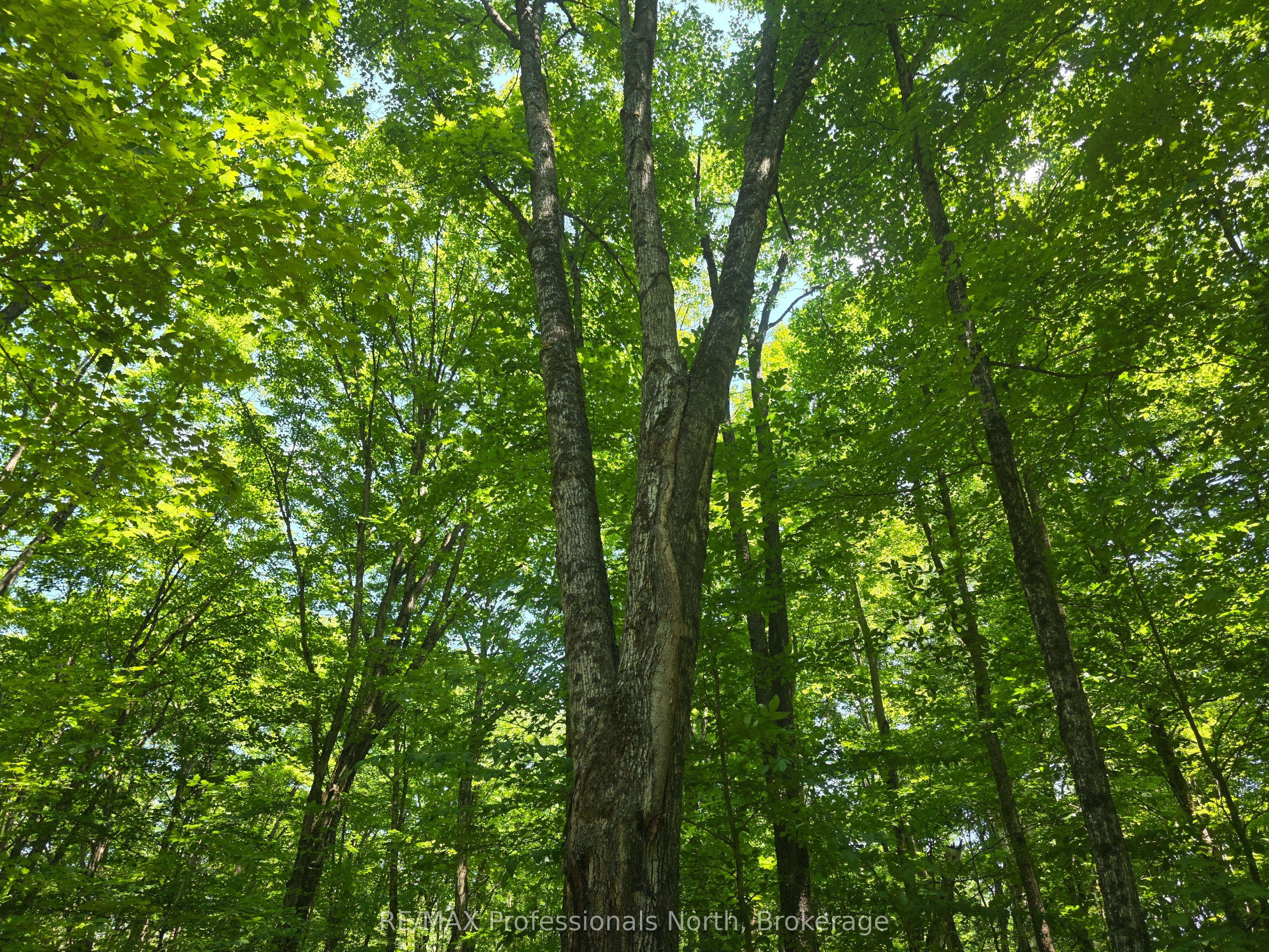 1134 Walkers Line Road Property Photo 13