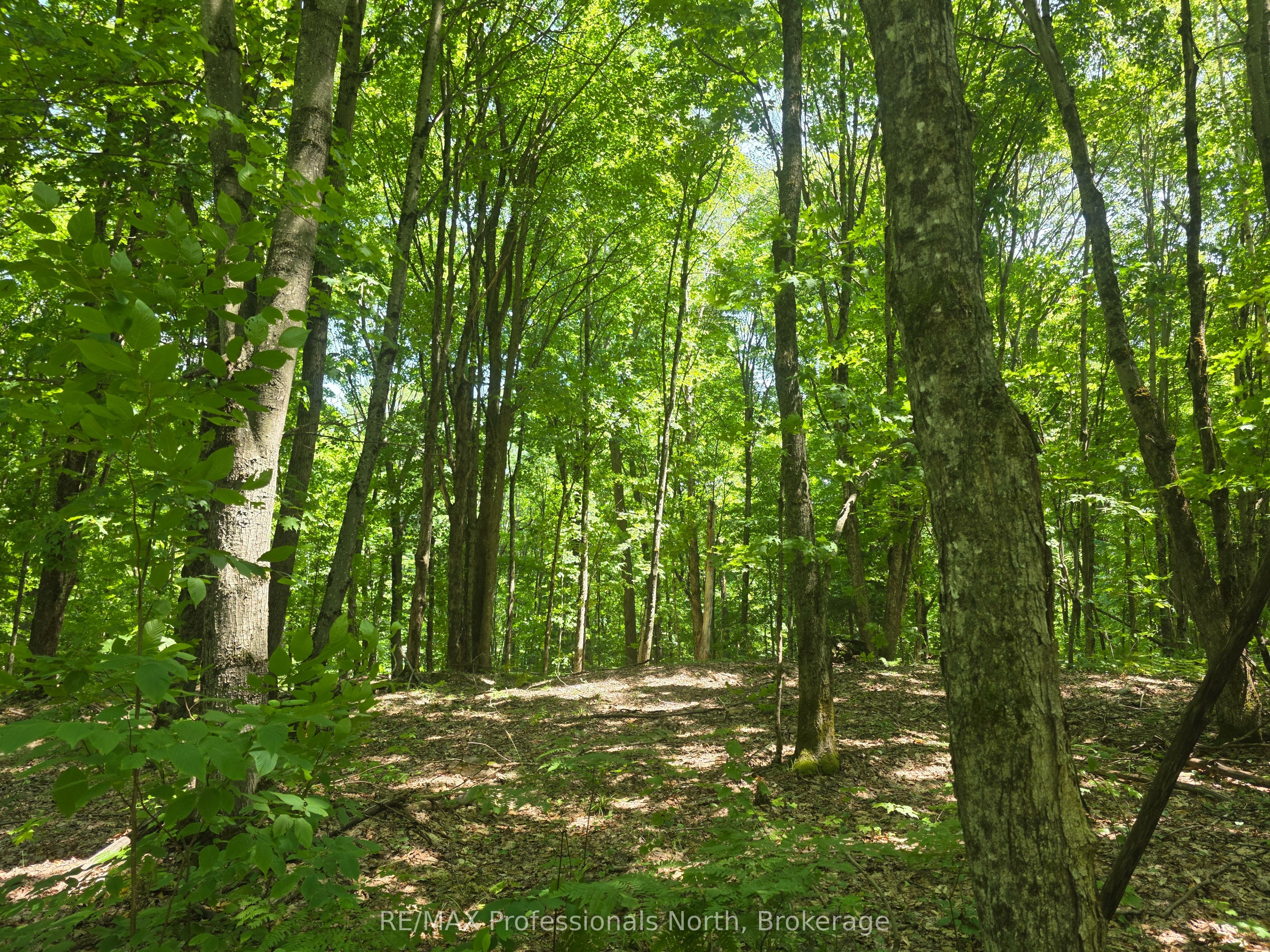 1134 Walkers Line Road Property Photo 14