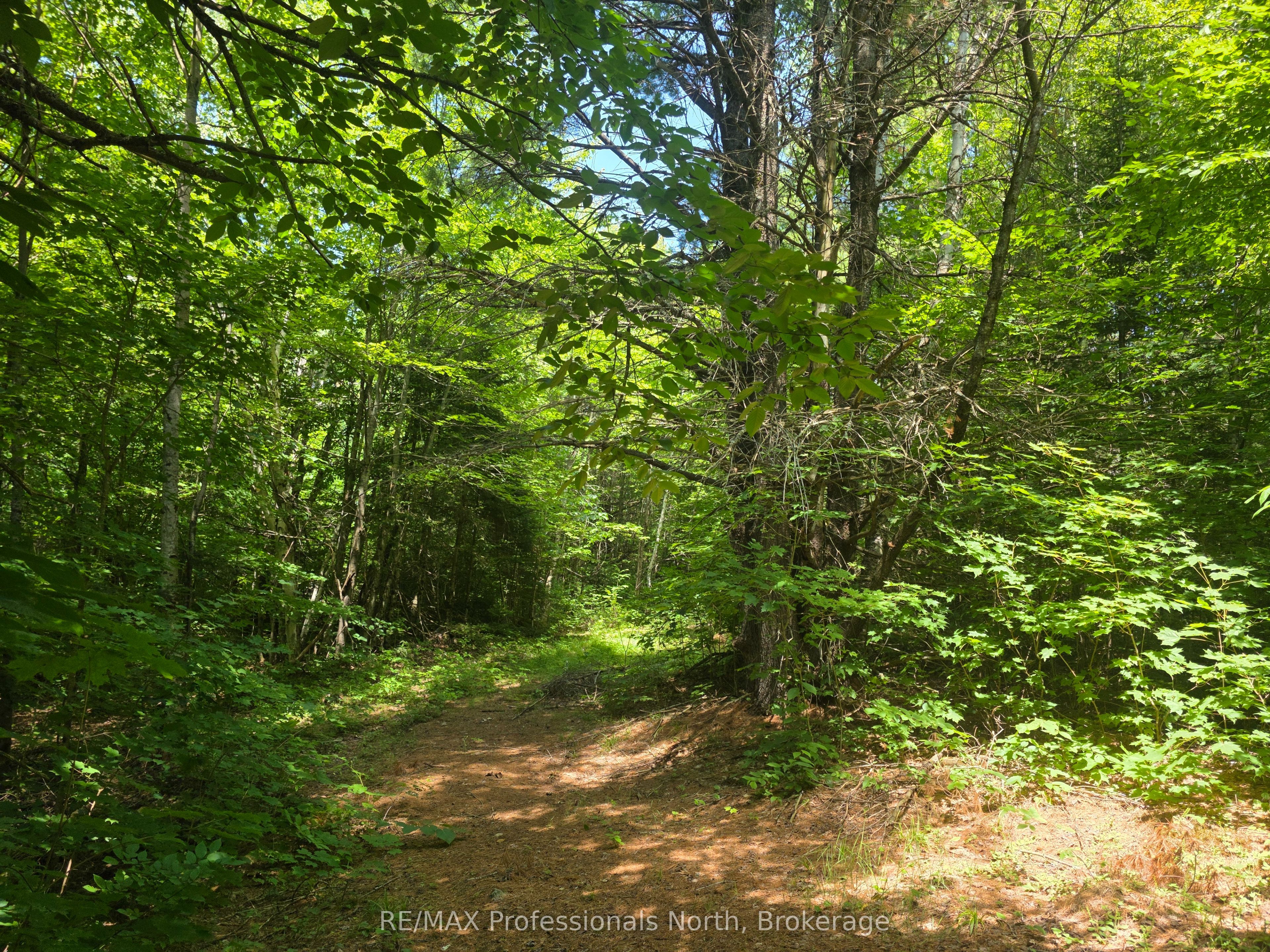 1134 Walkers Line Road Property Photo 15