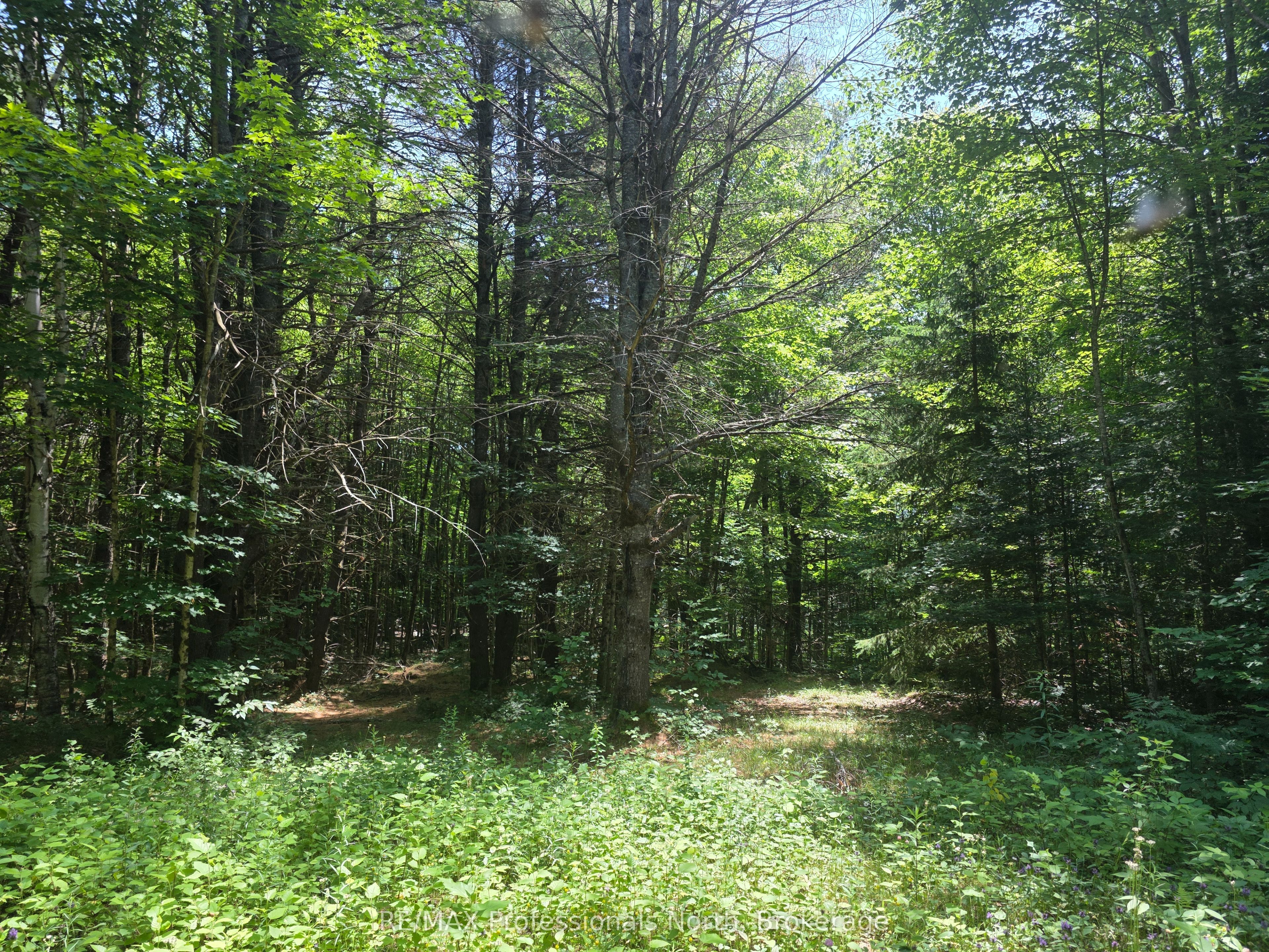1134 Walkers Line Road Property Photo 16
