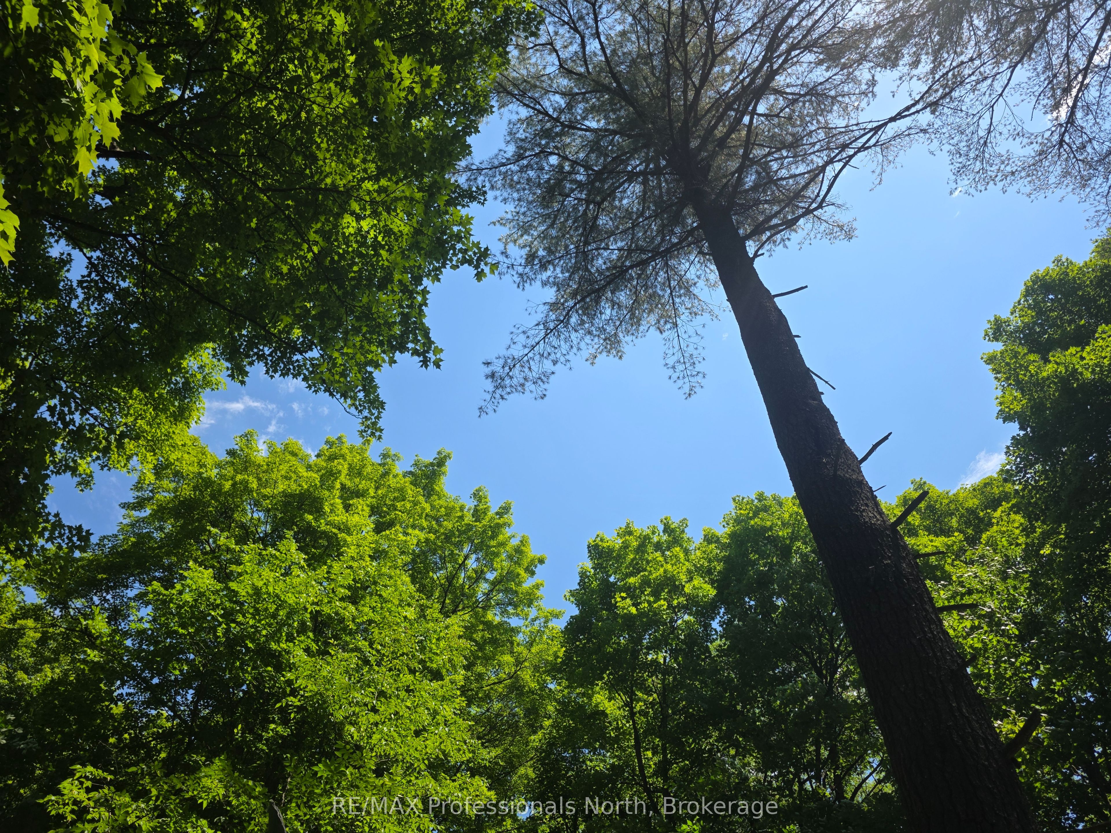 1134 Walkers Line Road Property Photo 17