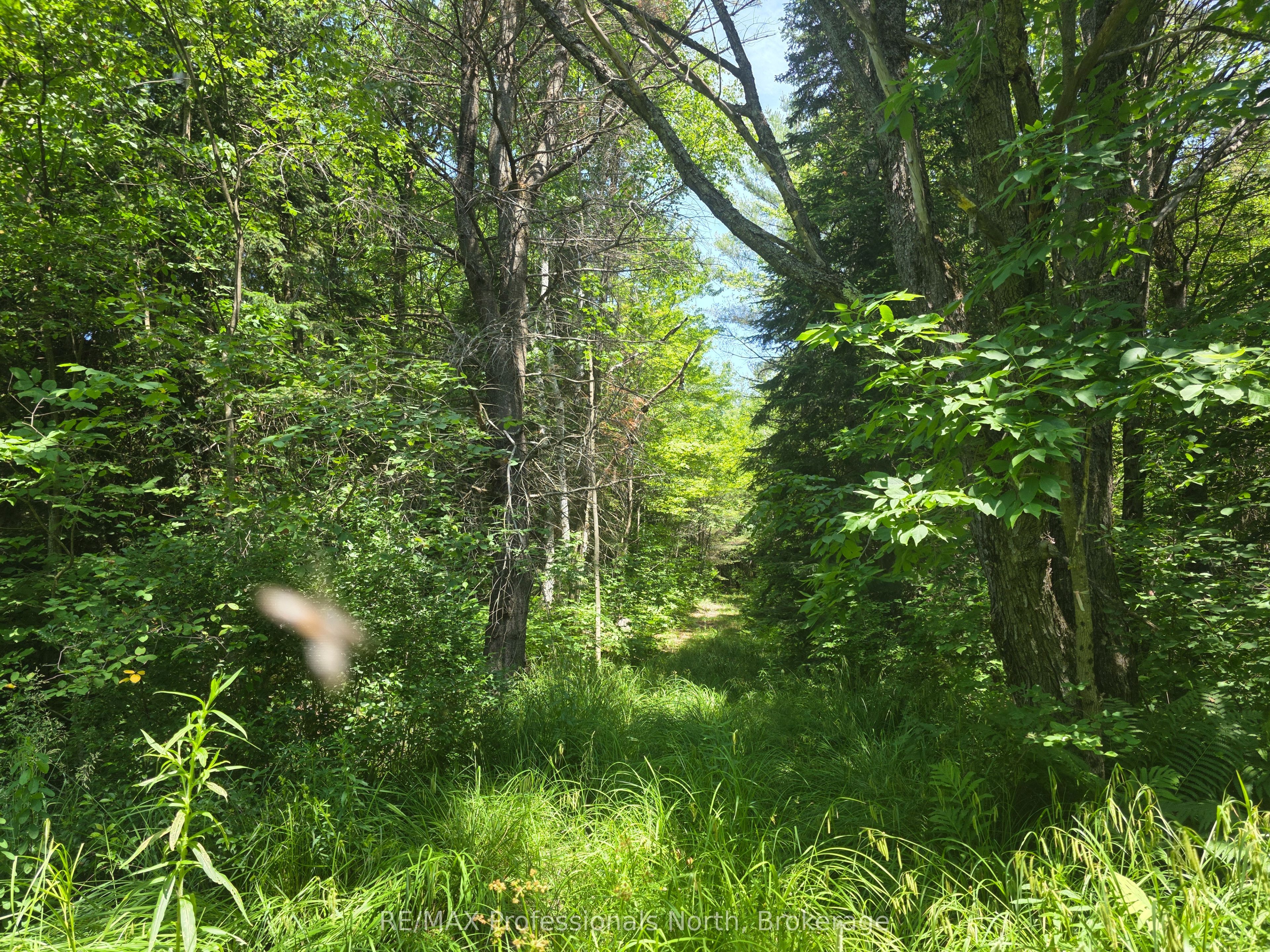 1134 Walkers Line Road Property Photo 18