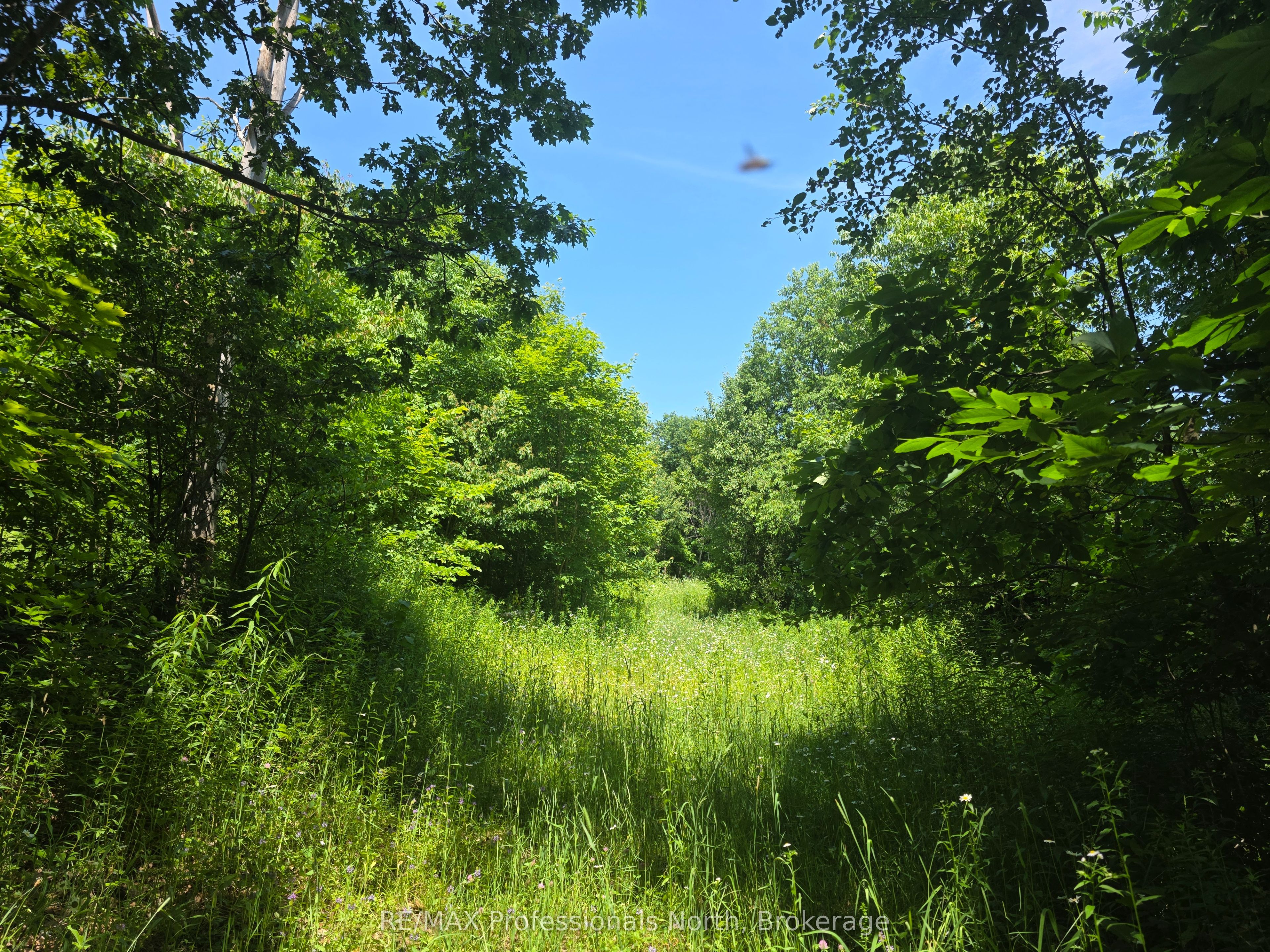 1134 Walkers Line Road Property Photo 19