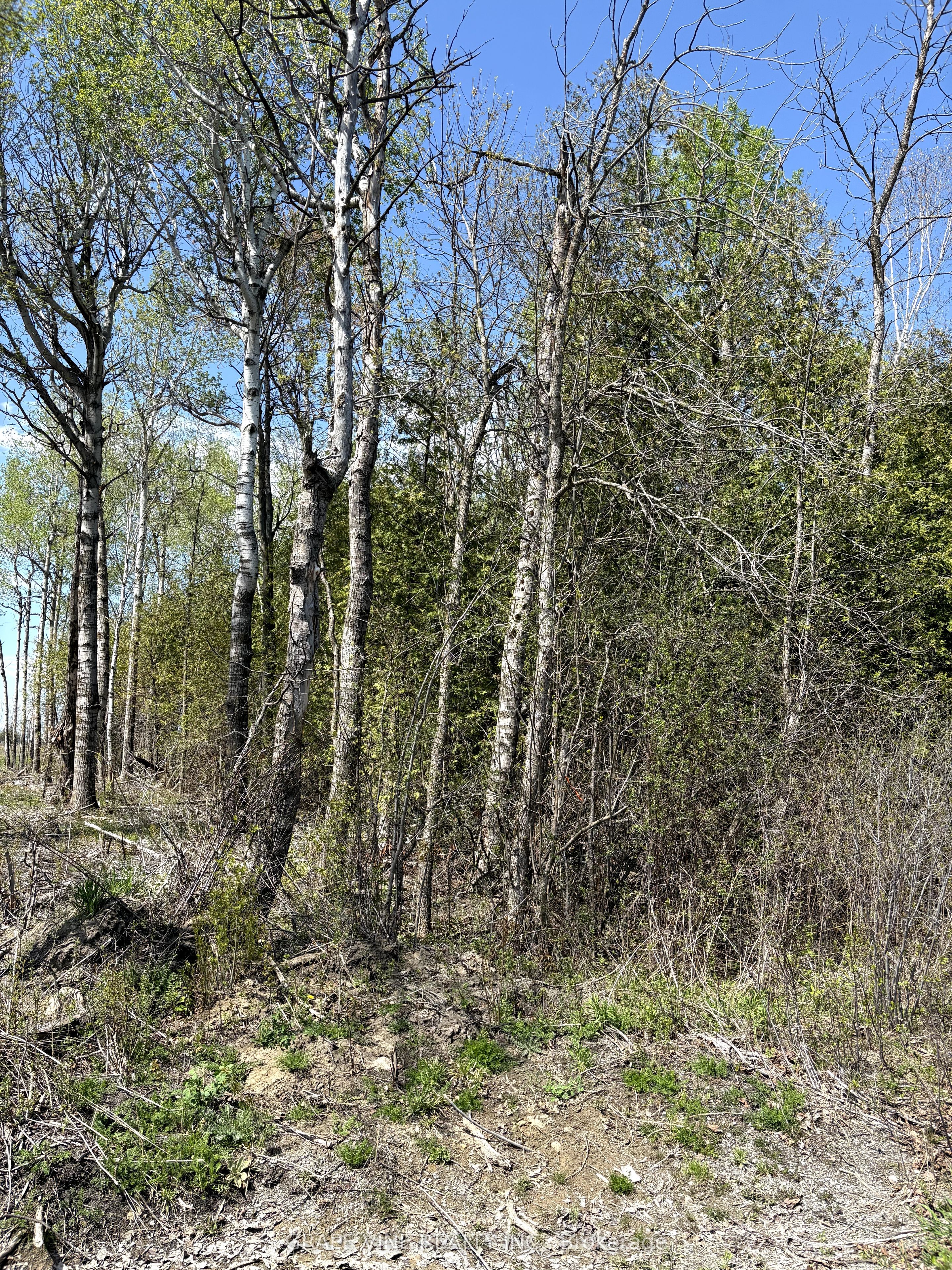 11865 (ptlt23) Armstrong Road Property Photo 2