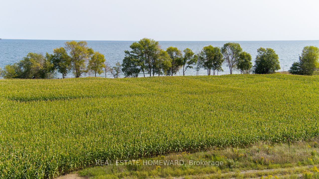 138 Jarvis Lane Property Photo 5