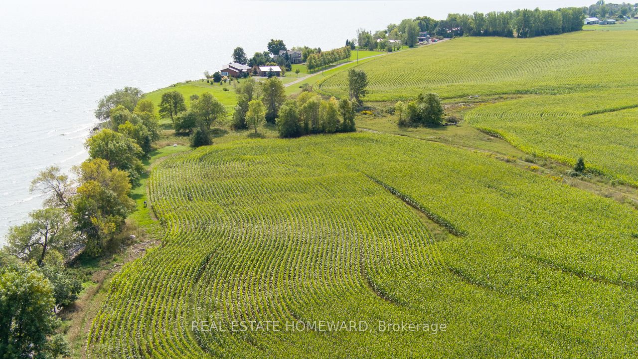 138 Jarvis Lane Property Photo 7