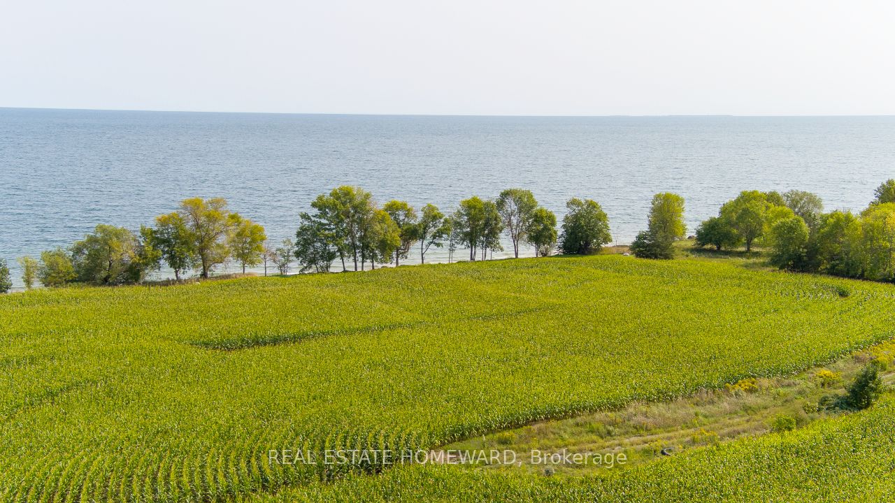 138 Jarvis Lane Property Photo 10