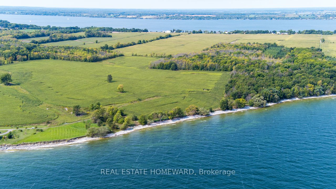 138 Jarvis Lane Property Photo 11