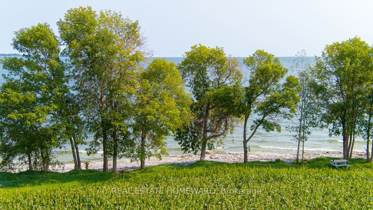 138 Jarvis Lane Property Photo 13