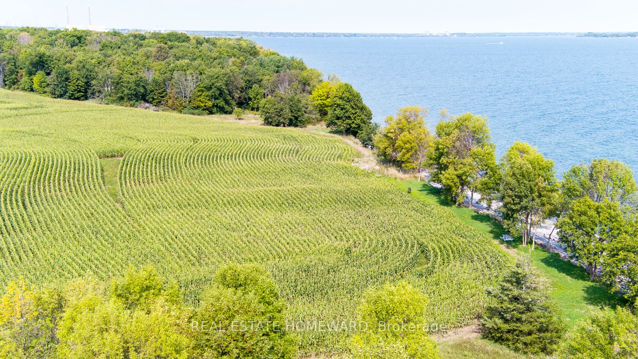 138 Jarvis Lane Property Photo 15