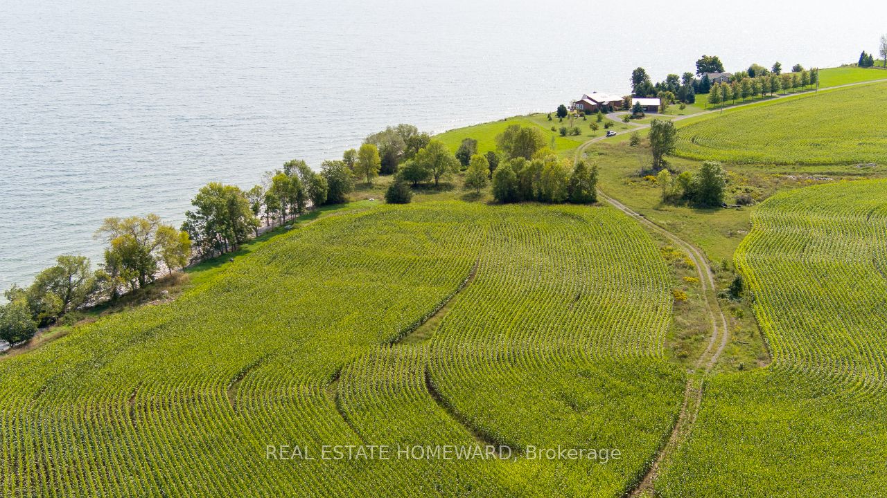 138 Jarvis Lane Property Photo 16