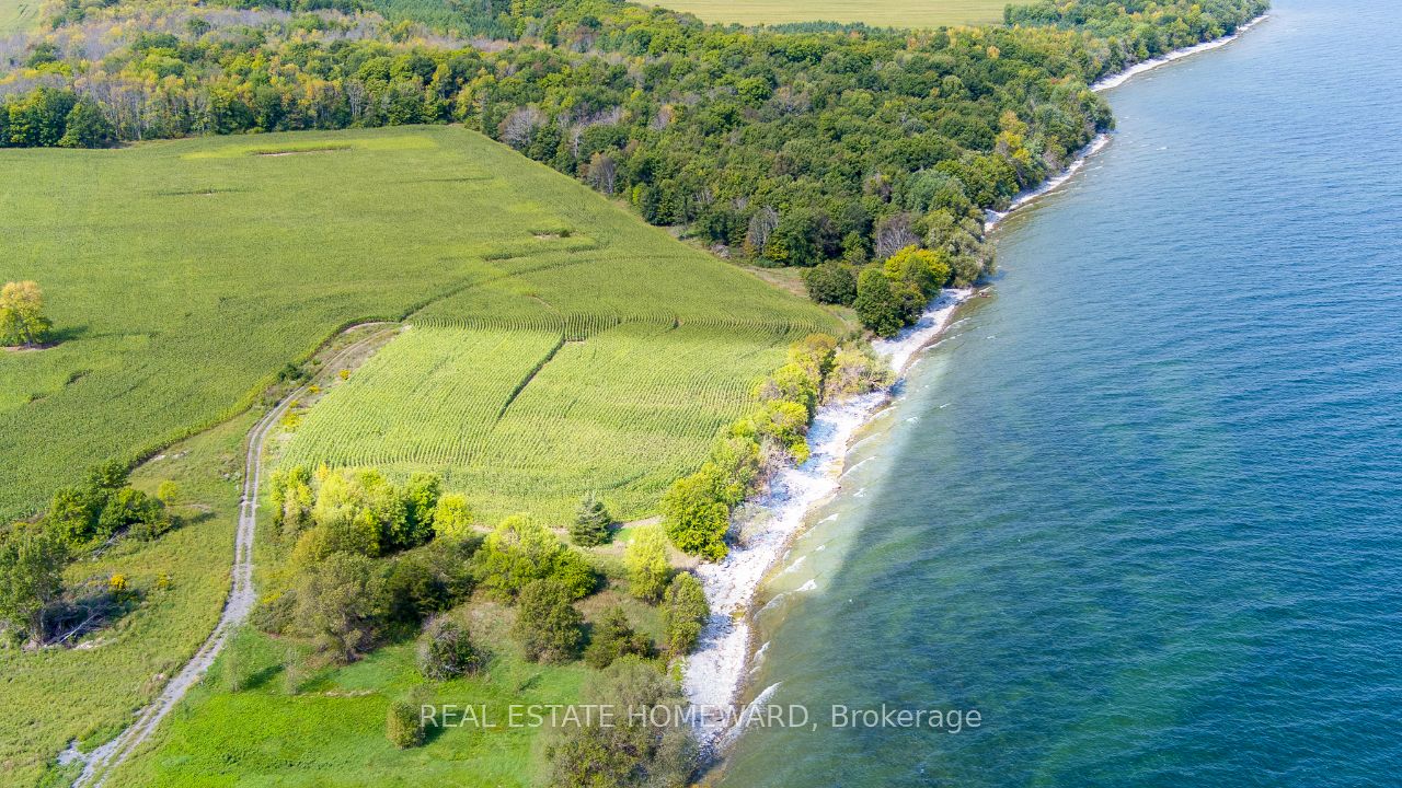 138 Jarvis Lane Property Photo 18