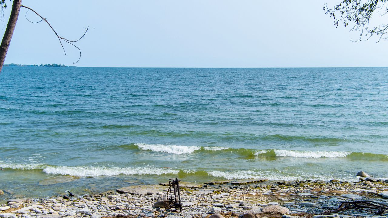 138 Jarvis Lane Property Photo 19