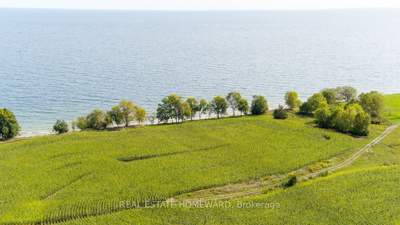 138 Jarvis Lane Property Photo 20