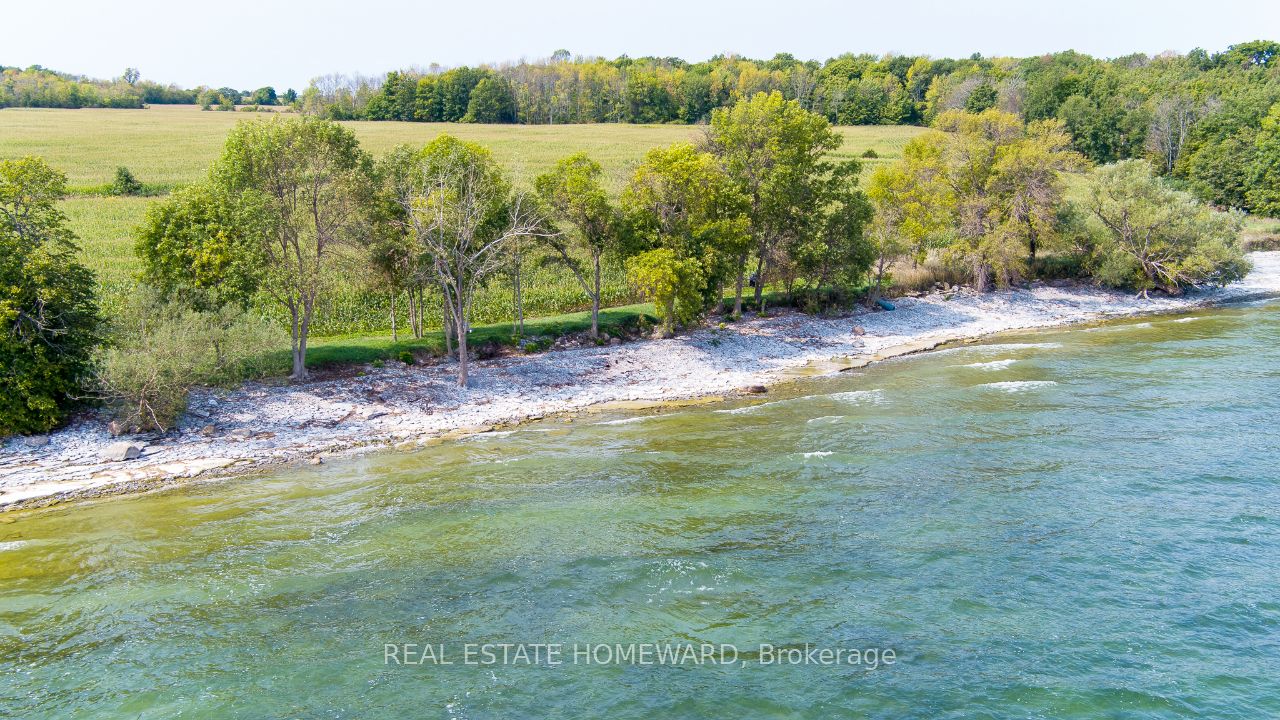 138 Jarvis Lane Property Photo 21