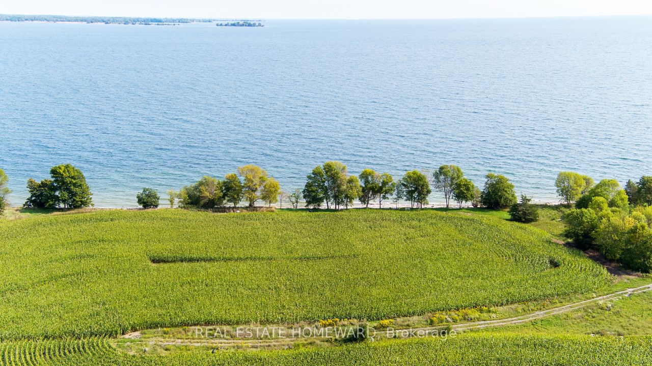 138 Jarvis Lane Property Photo 23