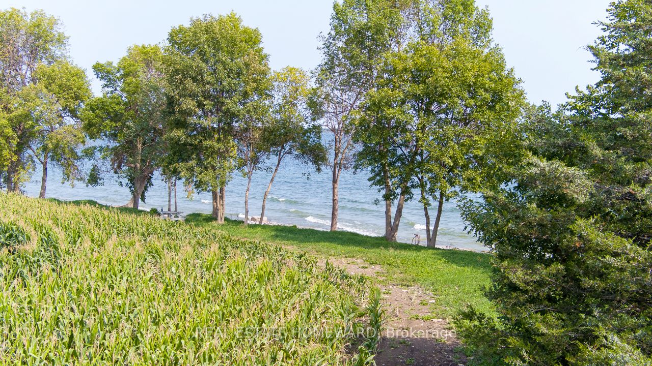 138 Jarvis Lane Property Photo 24