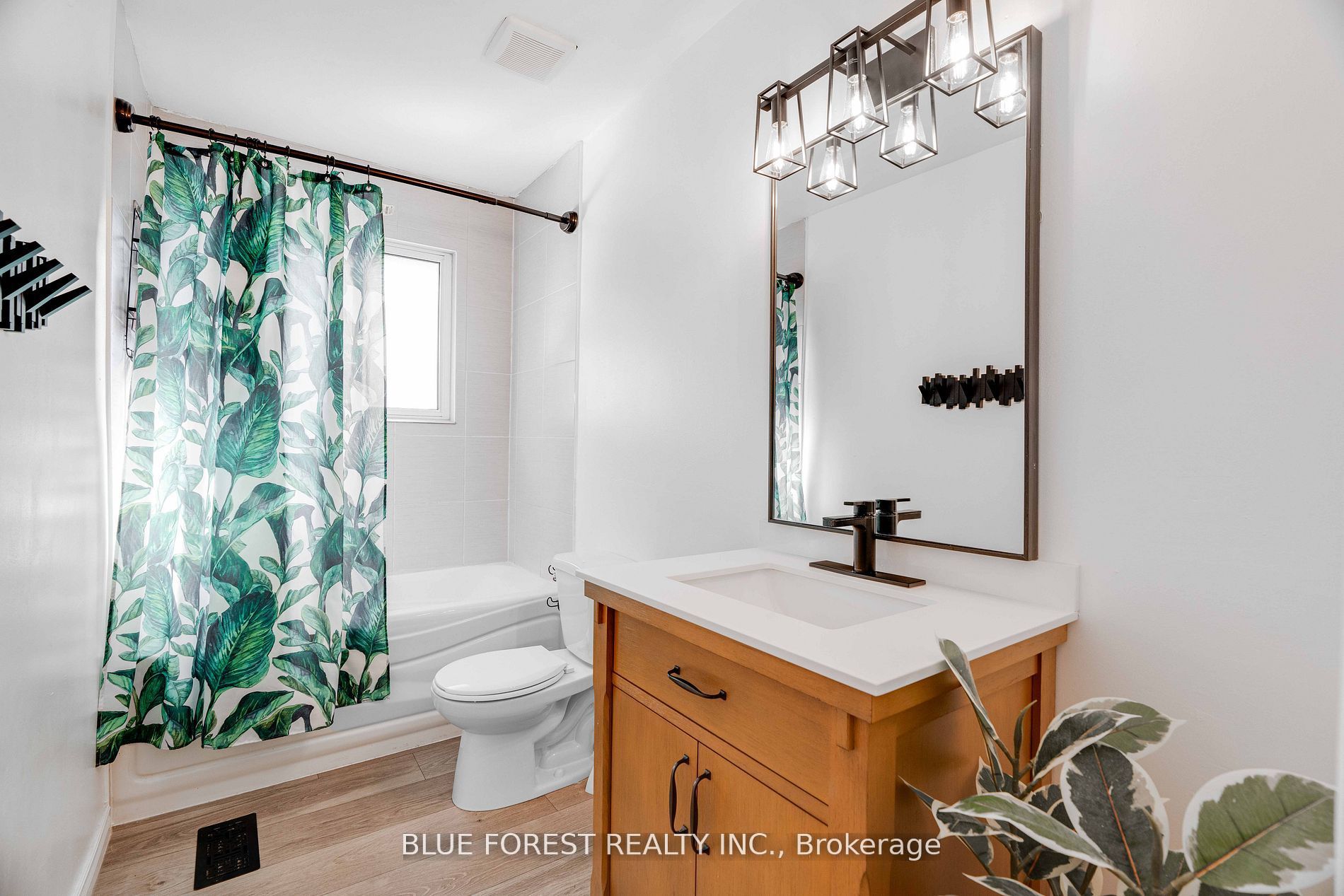 195 Myrtle Street Property Photo 16