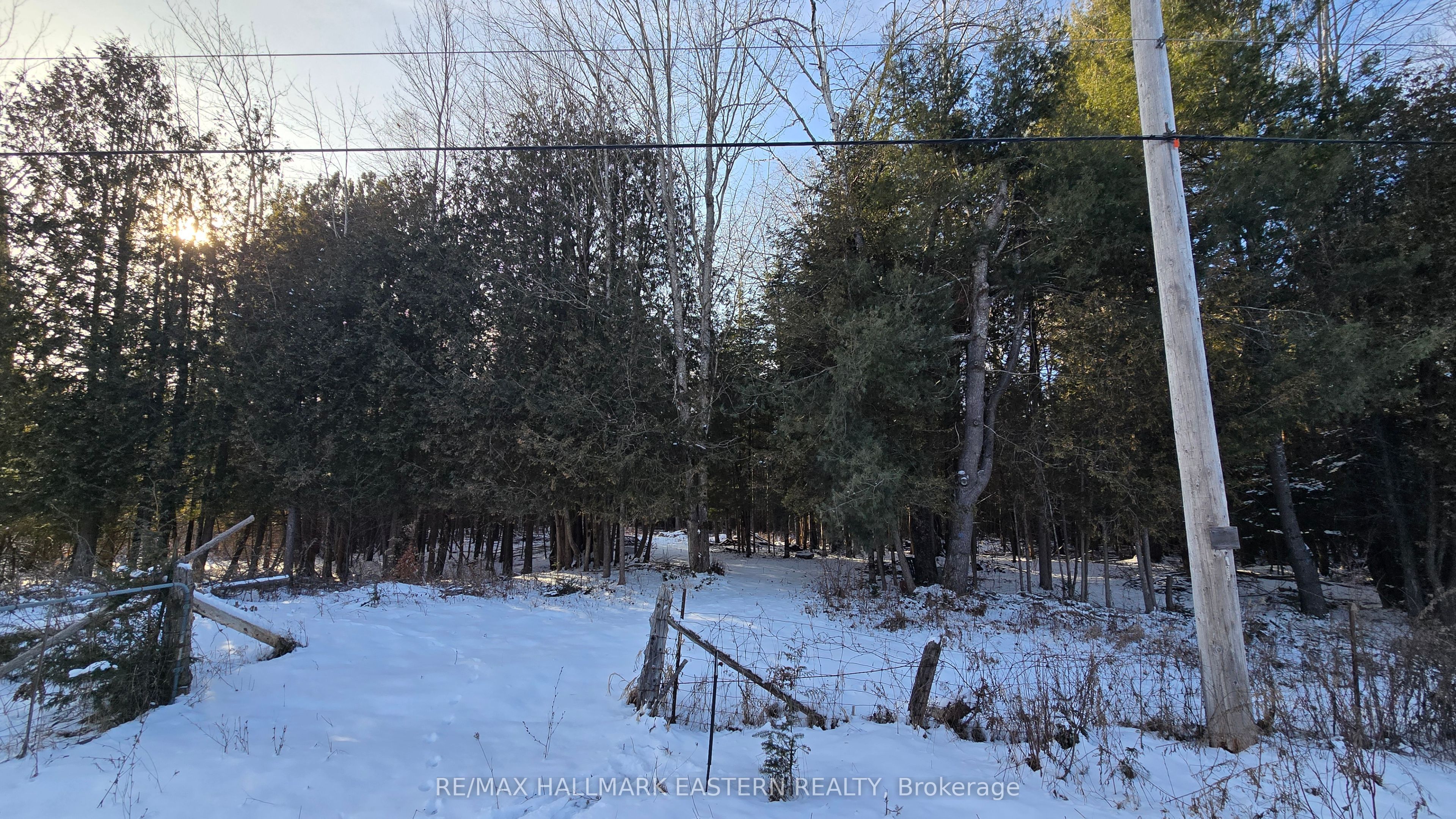 N/a County Road 46 N/a Property Photo 6