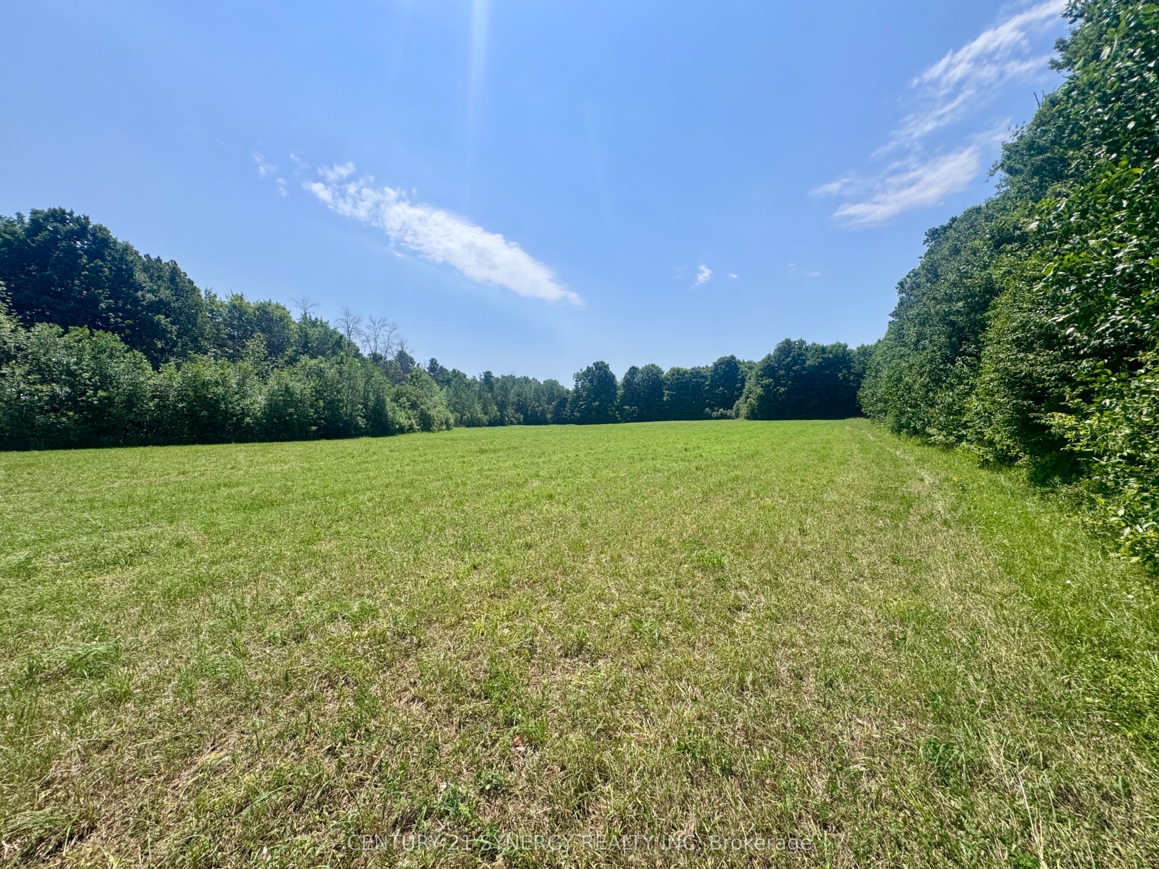 0 Riley Road Property Photo 1