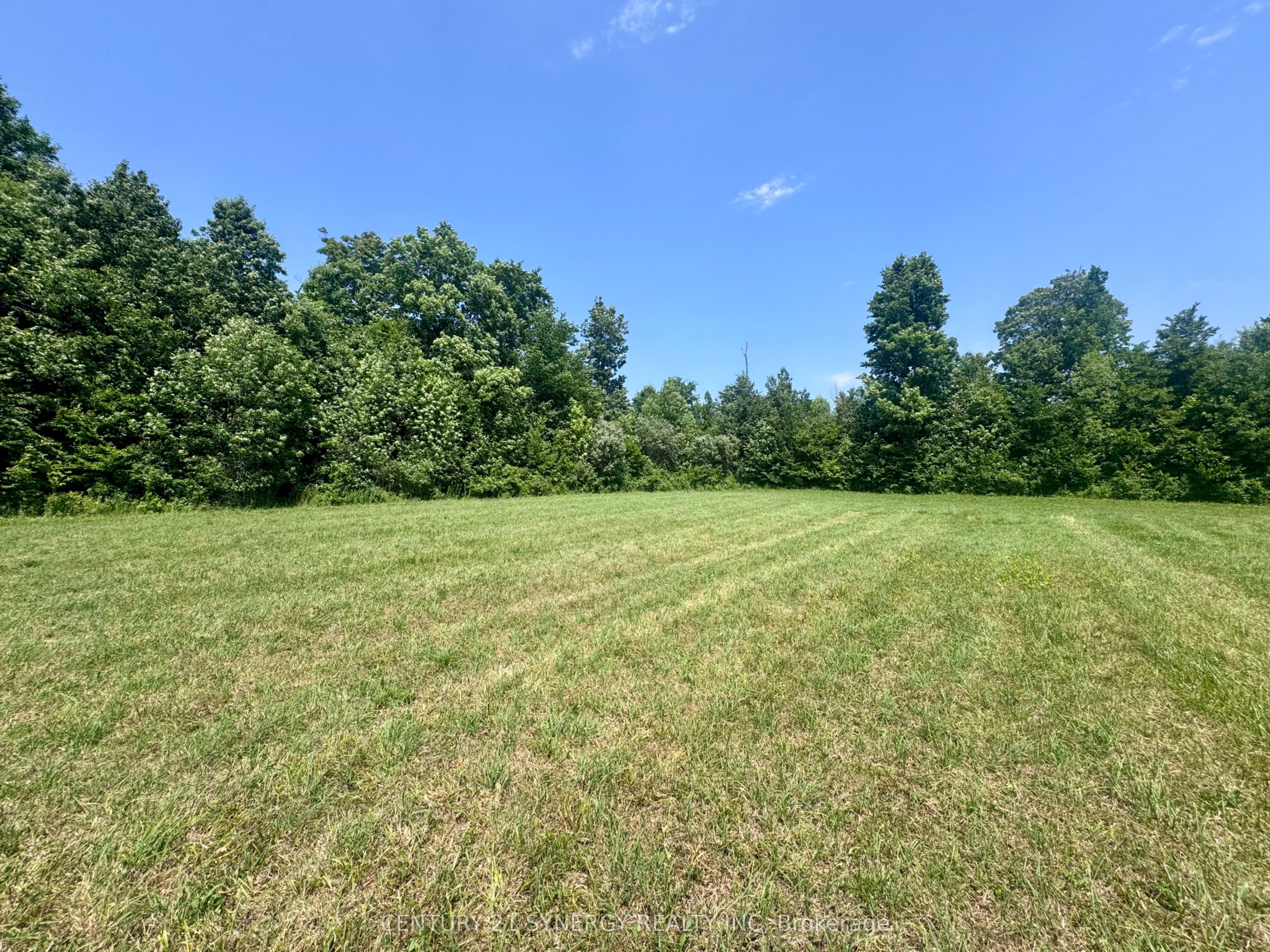 0 Riley Road Property Photo 12