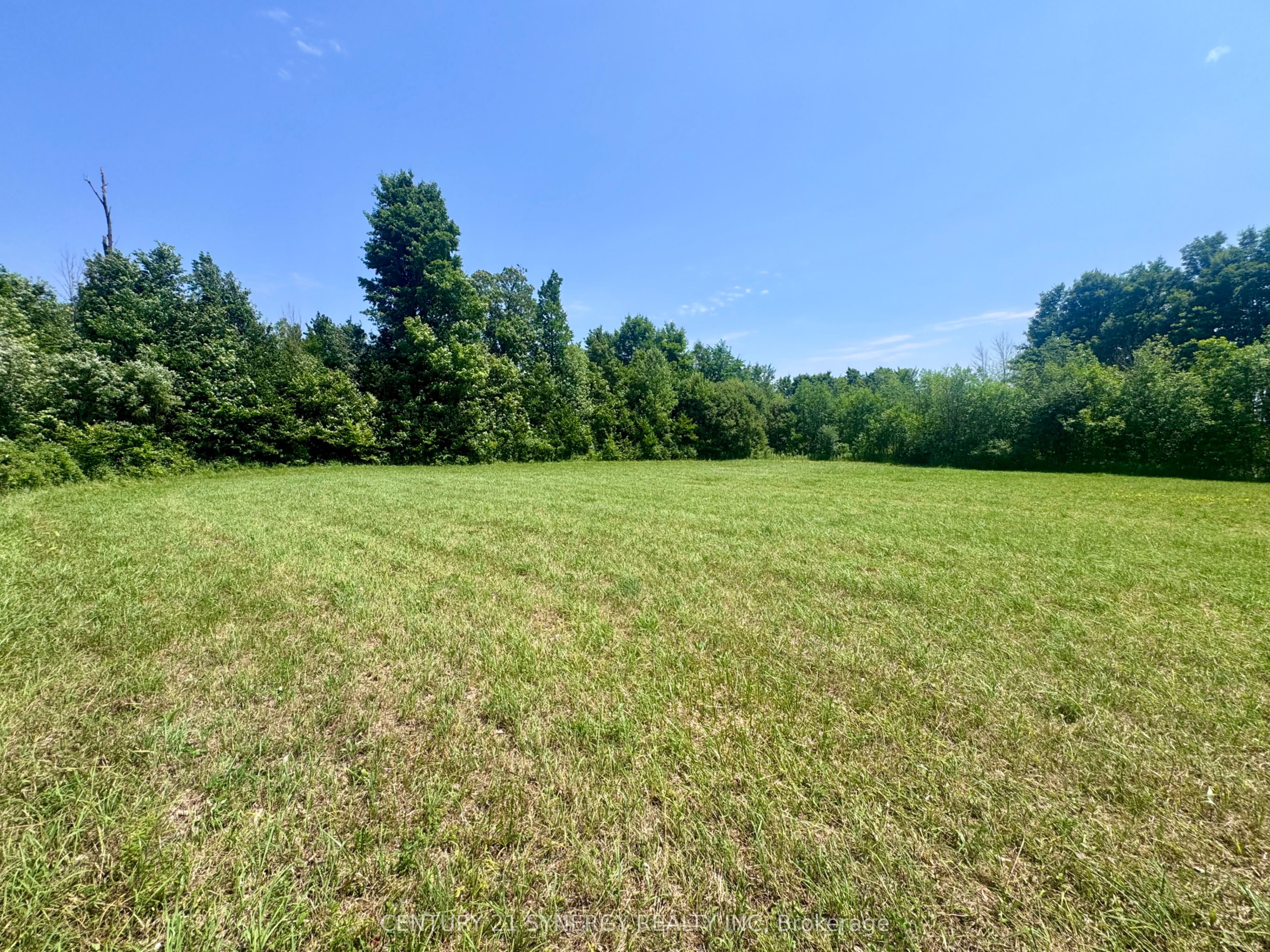 0 Riley Road Property Photo 13