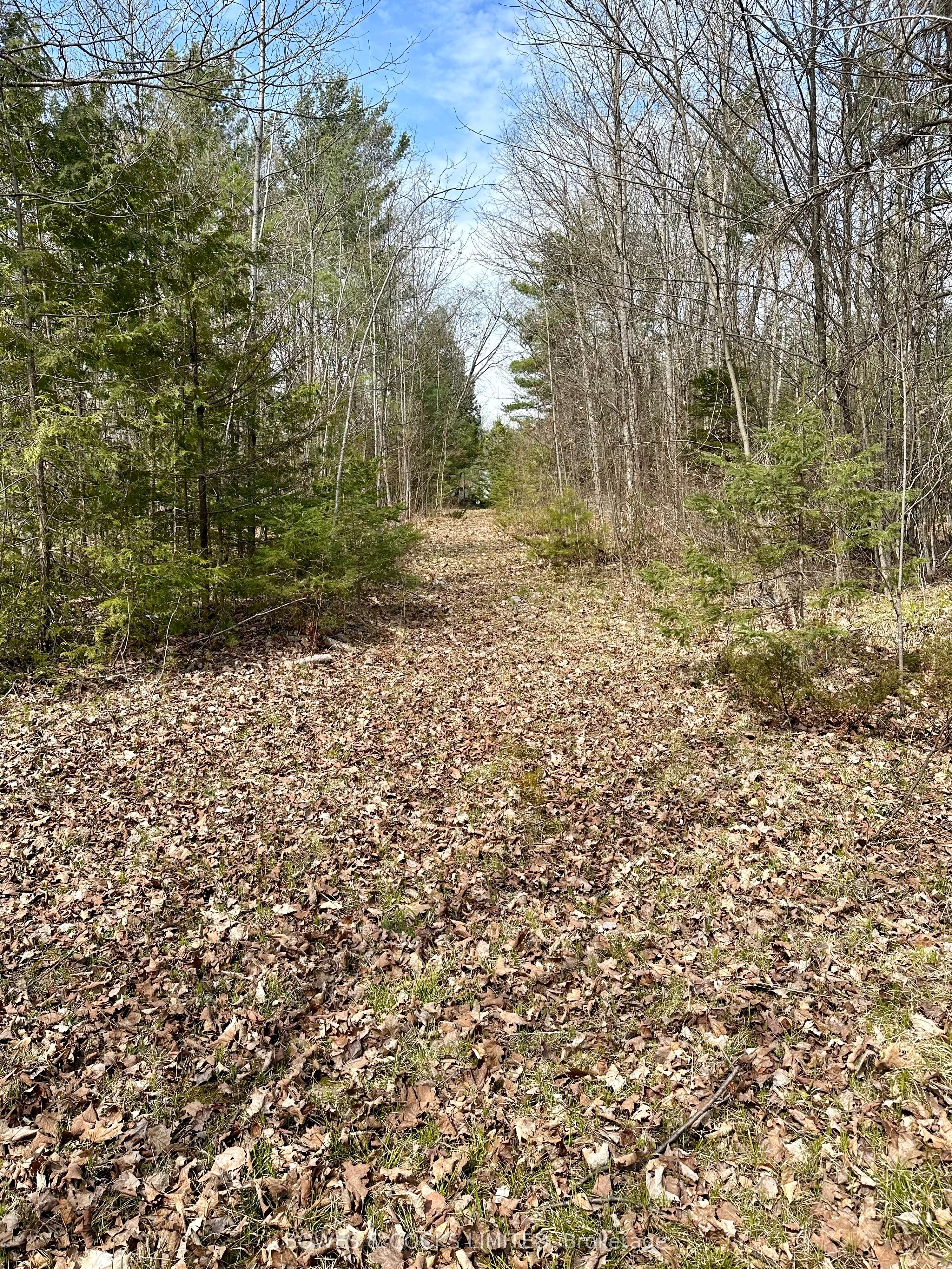 2981 County Road 44 N/a Property Photo 5