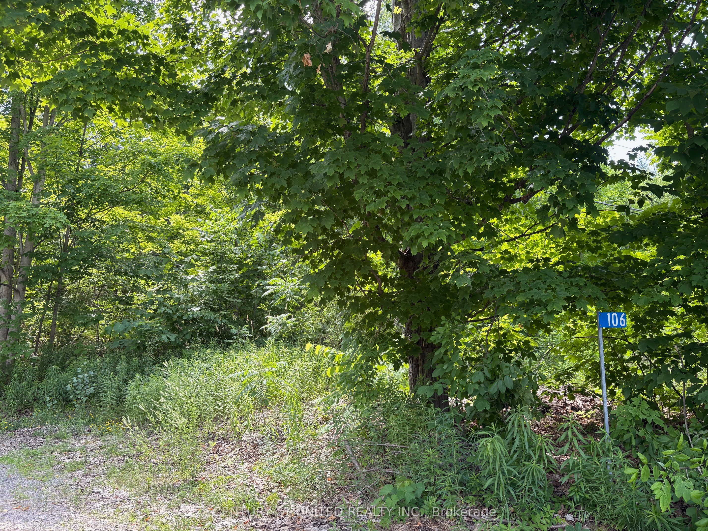 106 Mikolia Road Property Photo 1