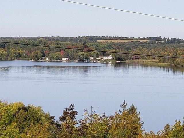 53 Maple Grove Road Property Photo 3