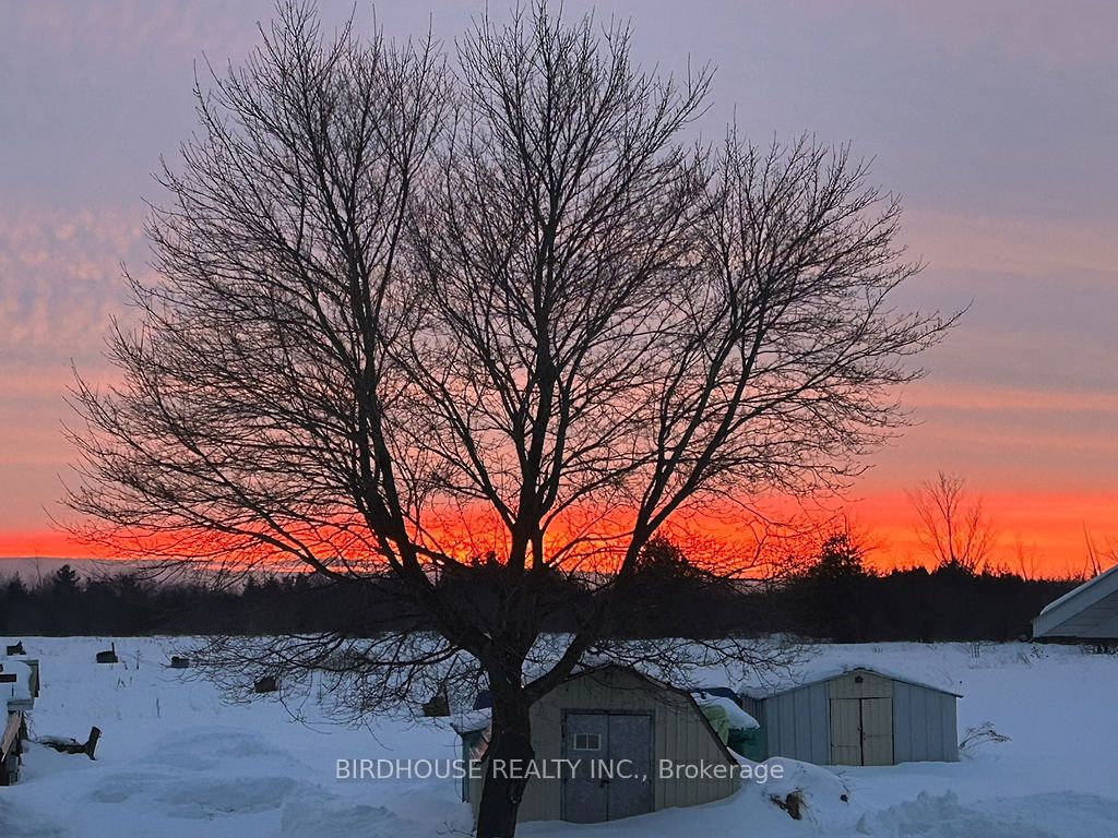 53 Maple Grove Road Property Photo 38