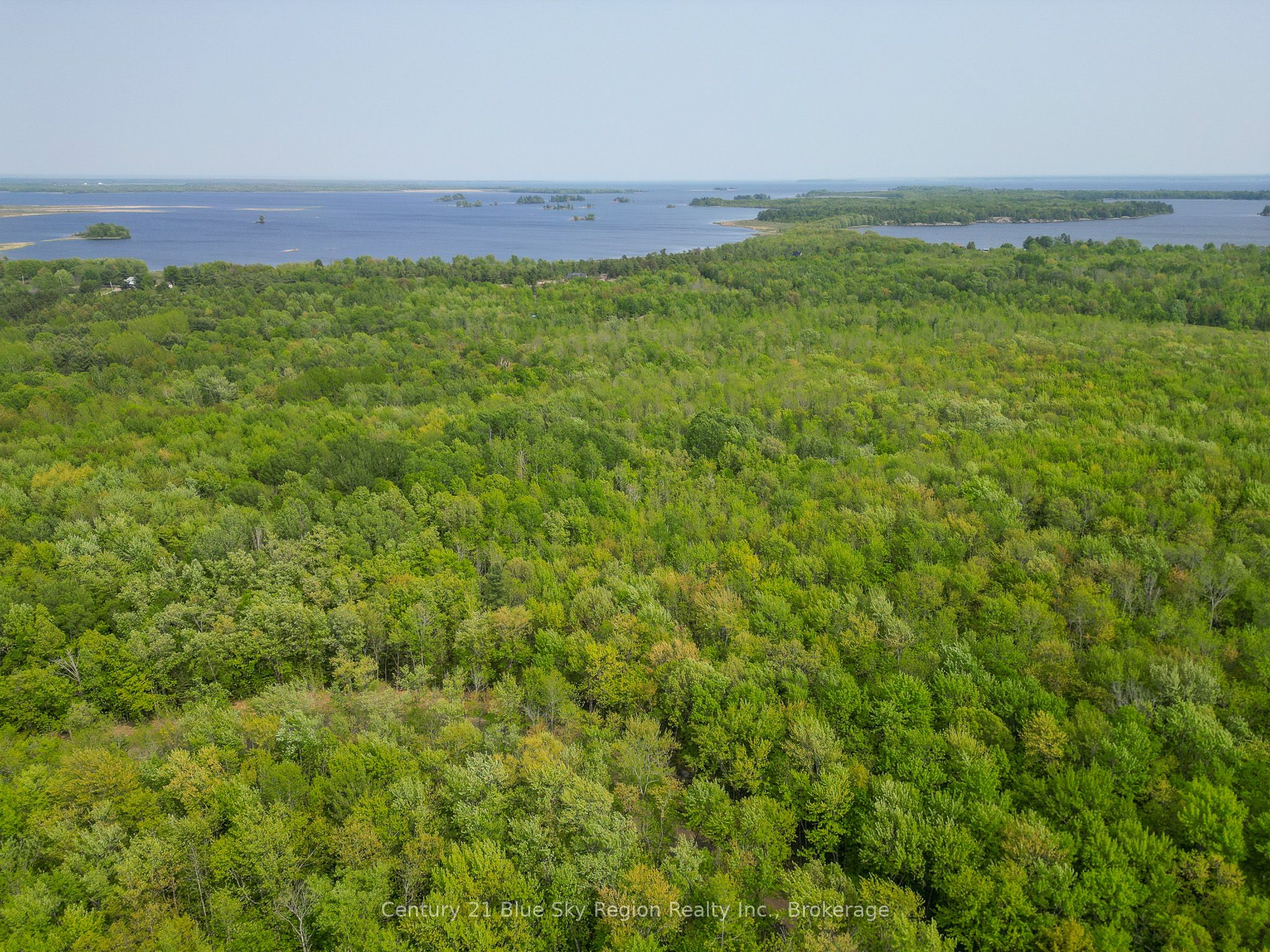 Lot 4 Riddle Road Property Photo 5