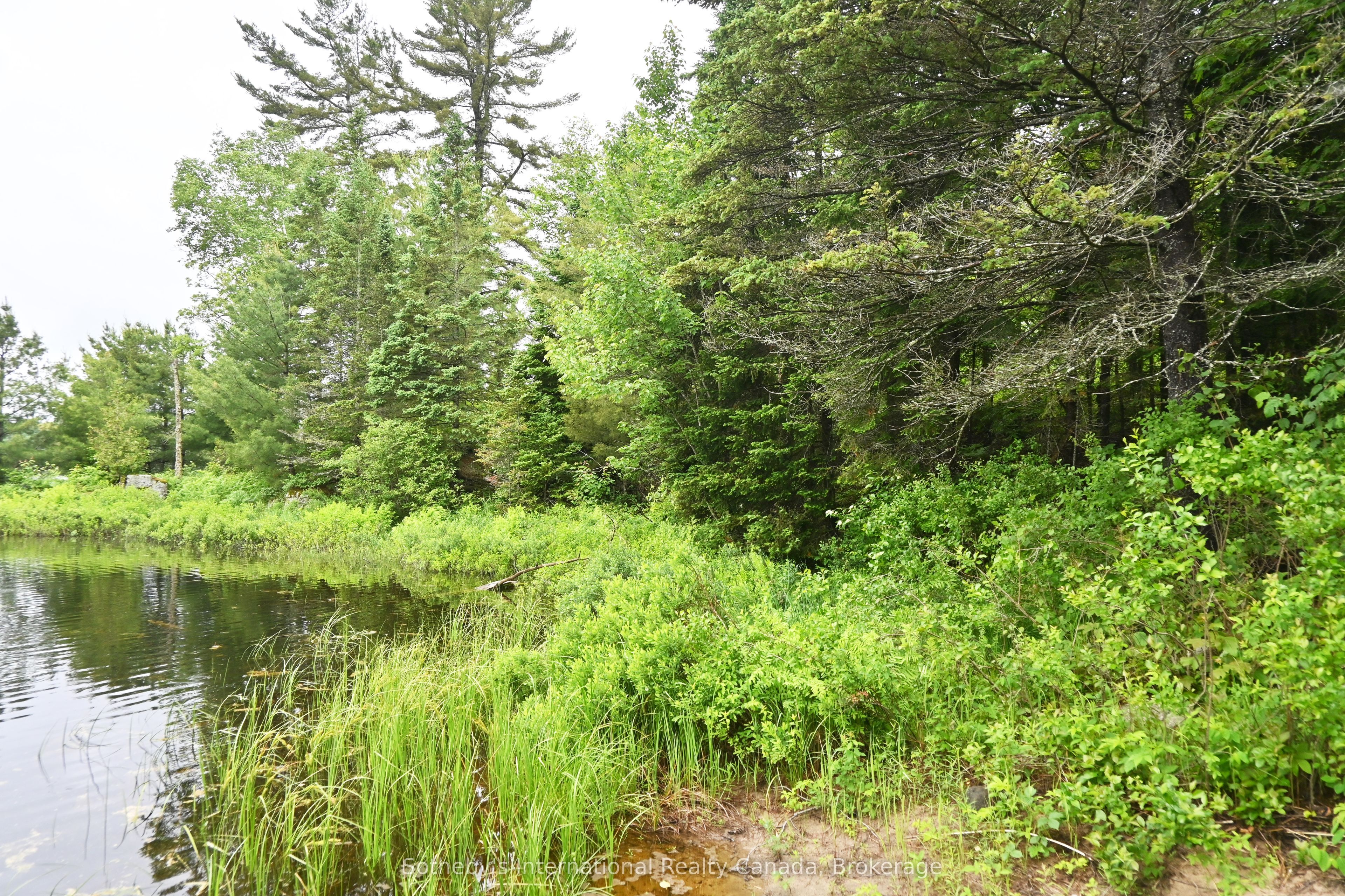 597 (lot 1) Fords Road Property Photo 5