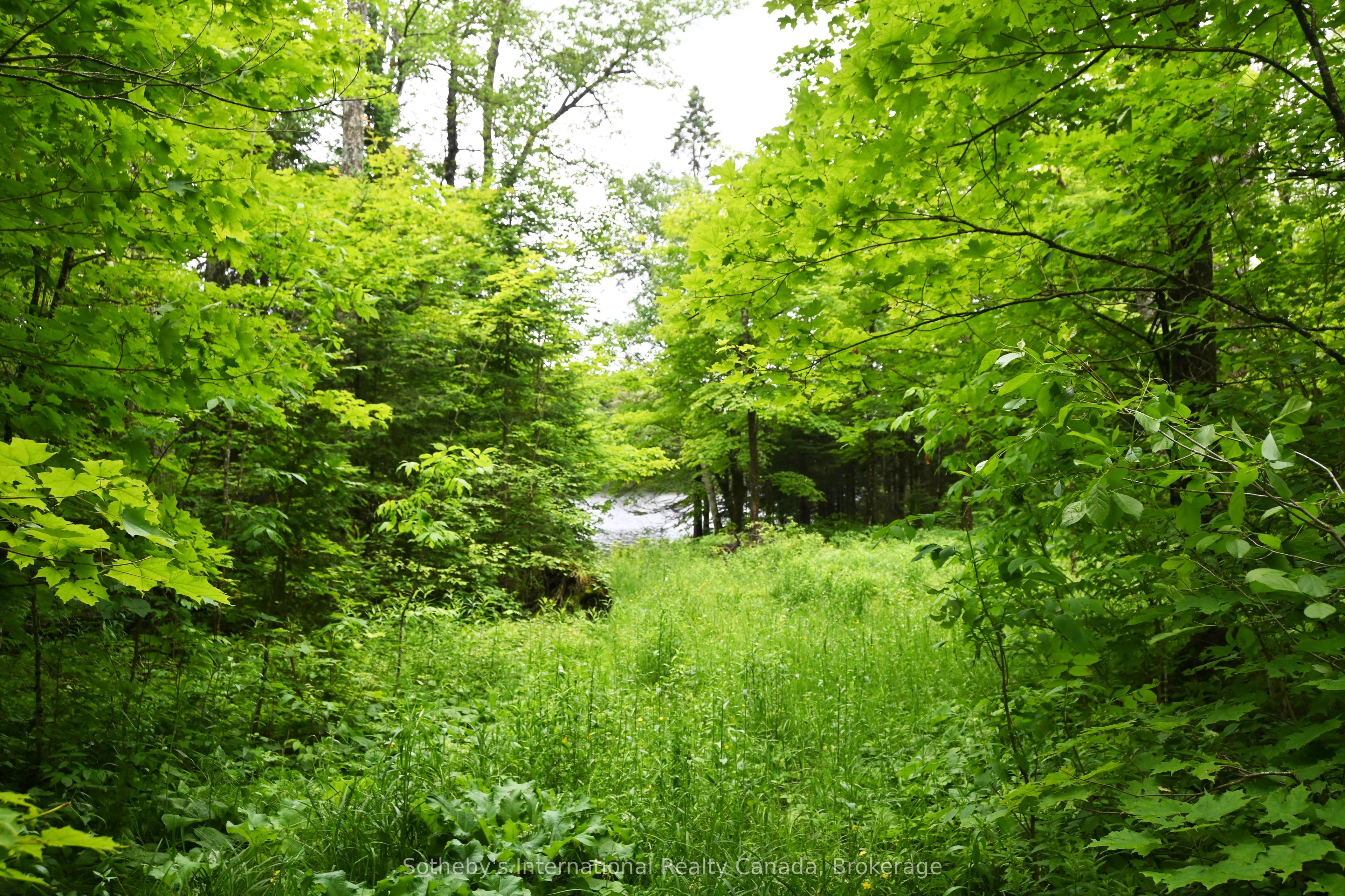 597 (lot 1) Fords Road Property Photo 6