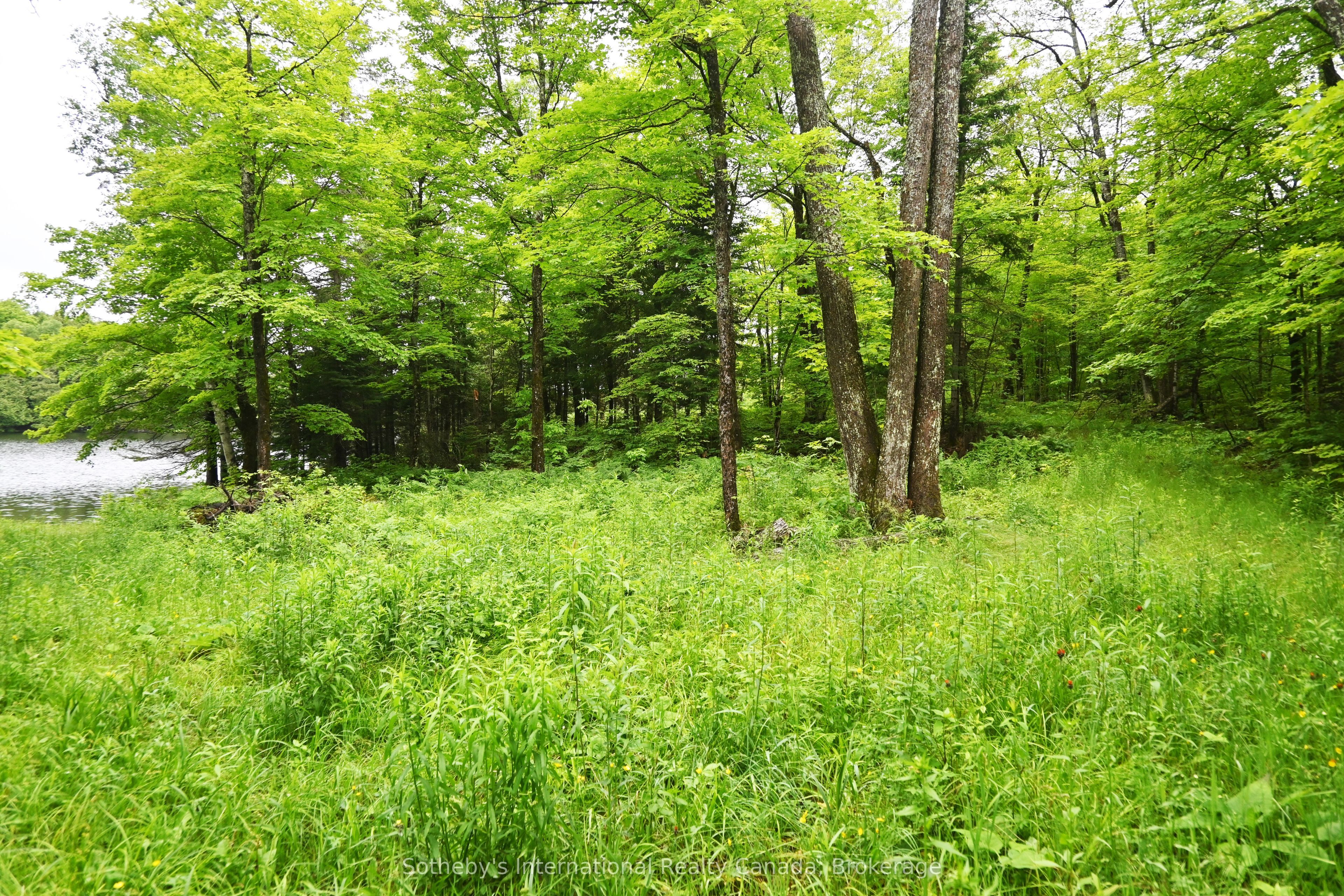 597 (lot 1) Fords Road Property Photo 7