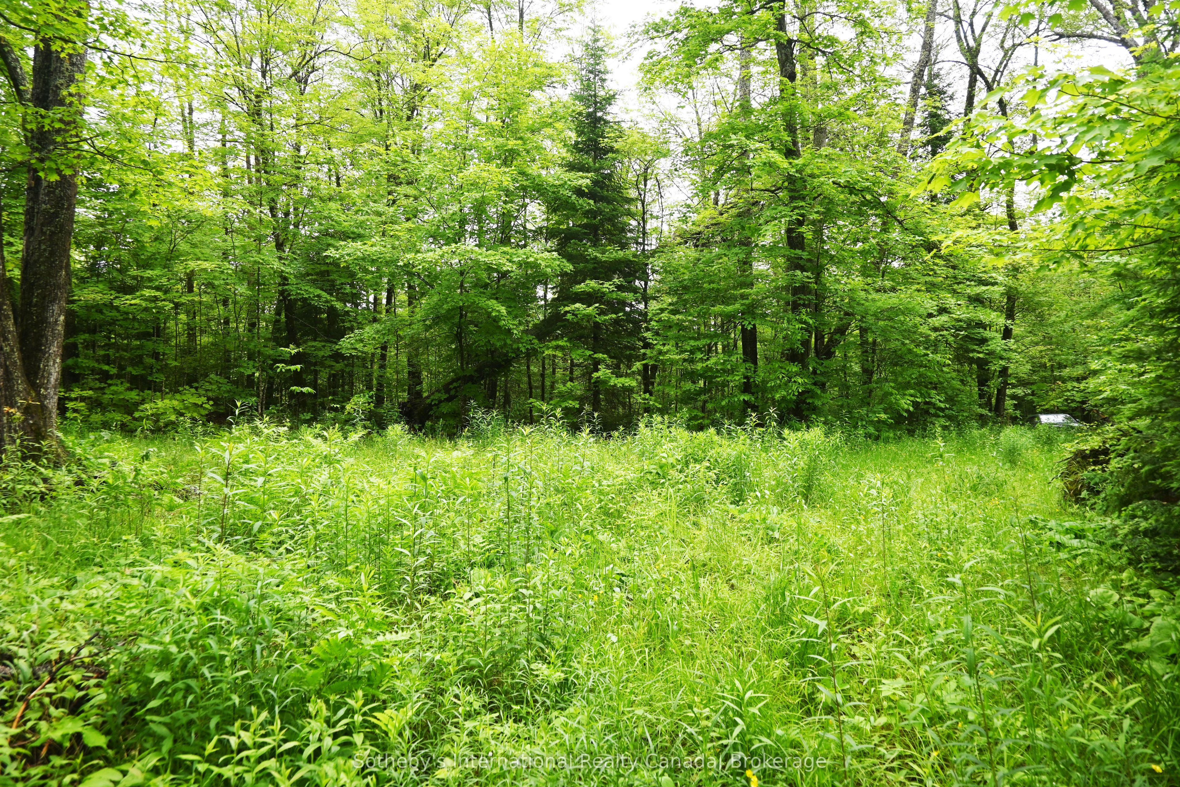 597 (lot 1) Fords Road Property Photo 8